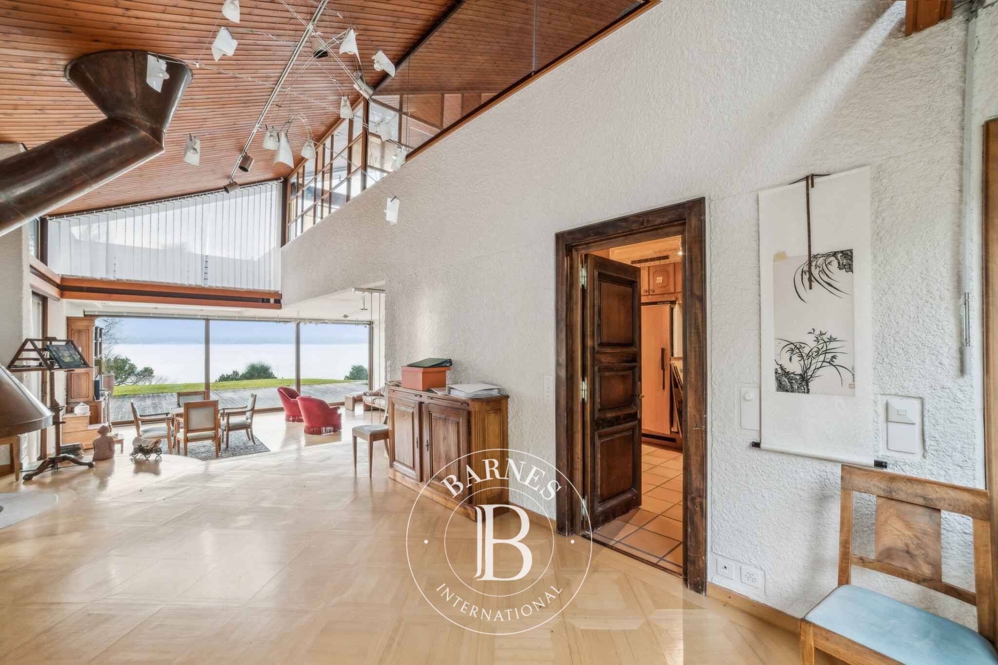 Villa Anières - picture 3