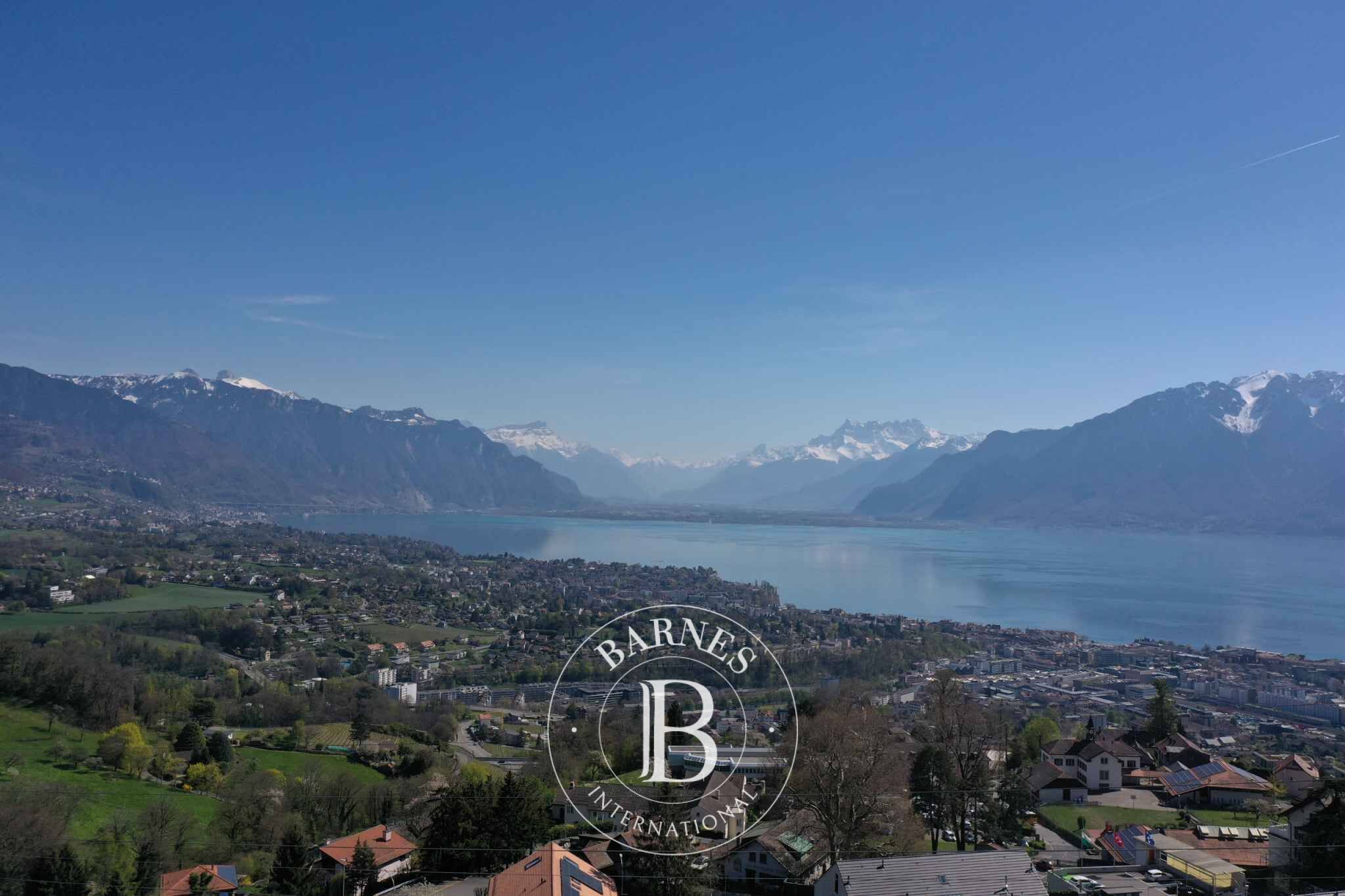 Villa Vevey - picture 2