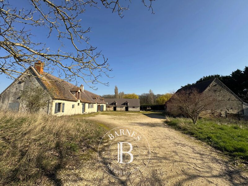For Sale Equestrian estate | Graçay - picture 3