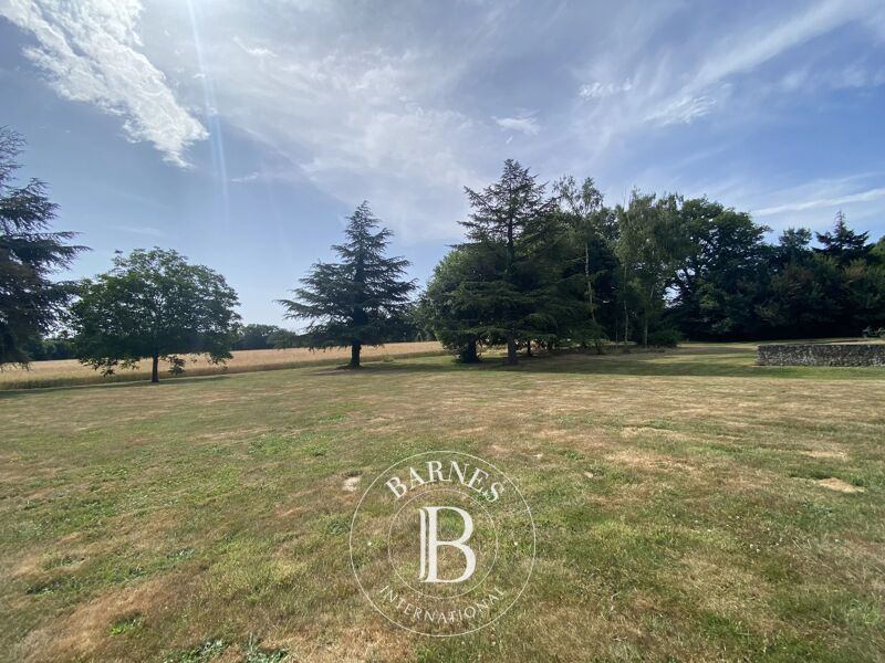 À vendre, Maison Savigny-sur-Braye - picture 2