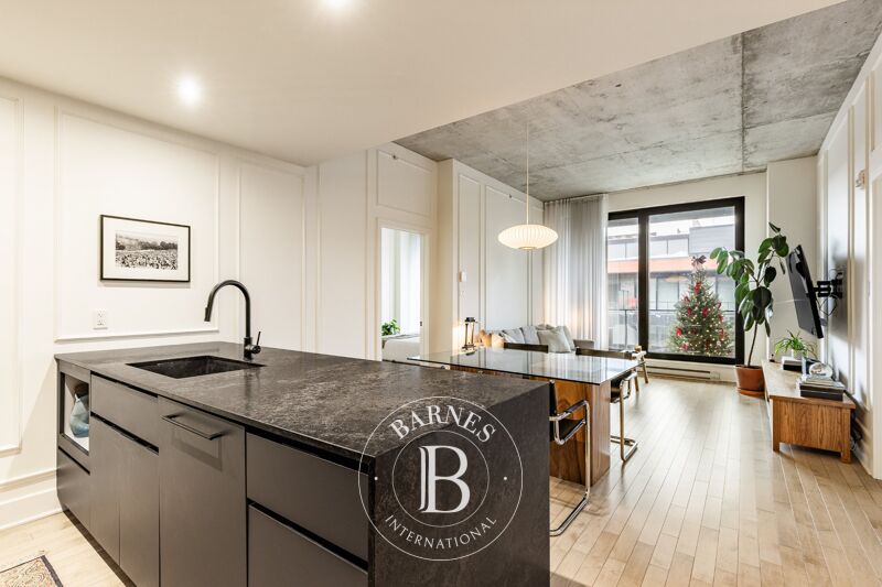 For Sale, Apartment Montréal (Le Sud-Ouest) - picture 2
