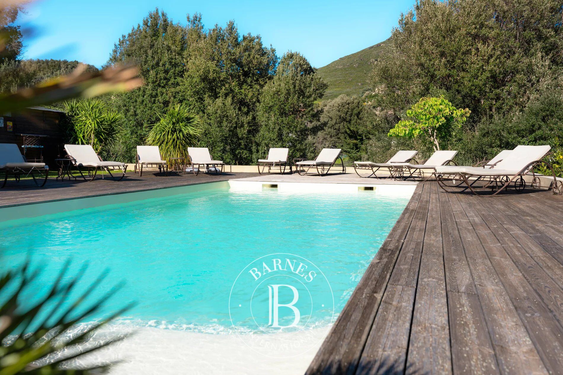 Cap Corse, Sisco, Villa vue montagnes, 5 chambres, piscine, proche plage - picture 3