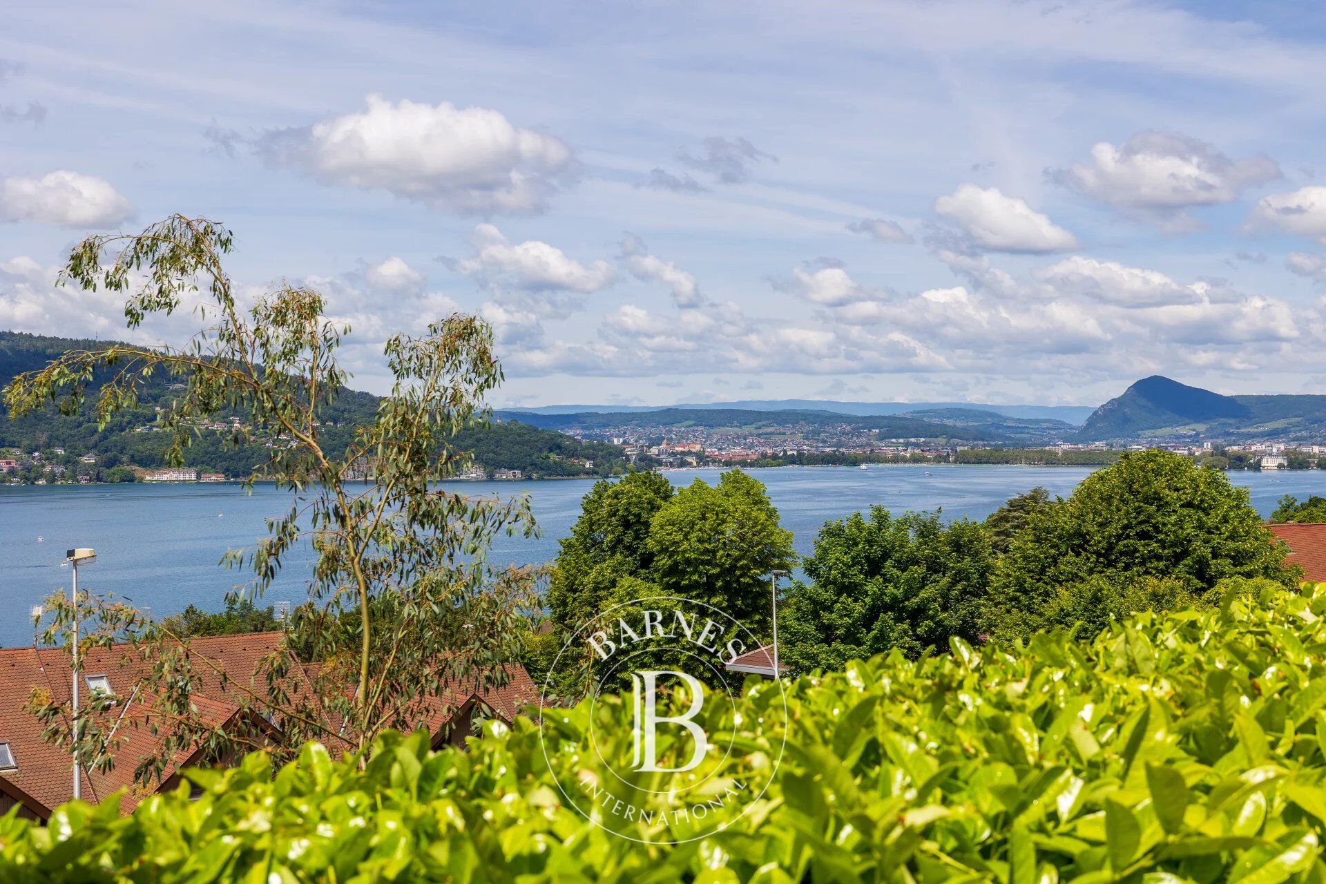 BARNES ANNECY - VEYRIER-DU-LAC - - picture 1