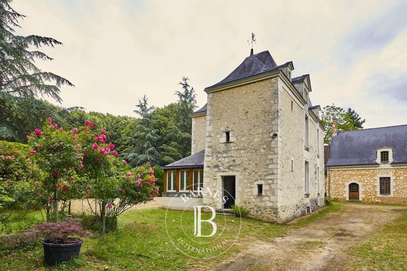 For Sale, Equestrian estate Baugé-en-Anjou - picture 2
