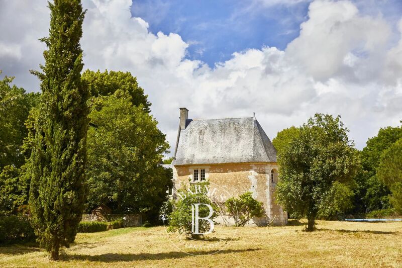 For Sale, Equestrian estate Baugé-en-Anjou - picture 3