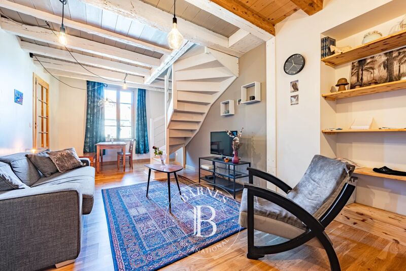 BARNES Annecy – ANNECY – OLD TOWN – CHARMING DUPLEX – THIOU RIVER VIEW