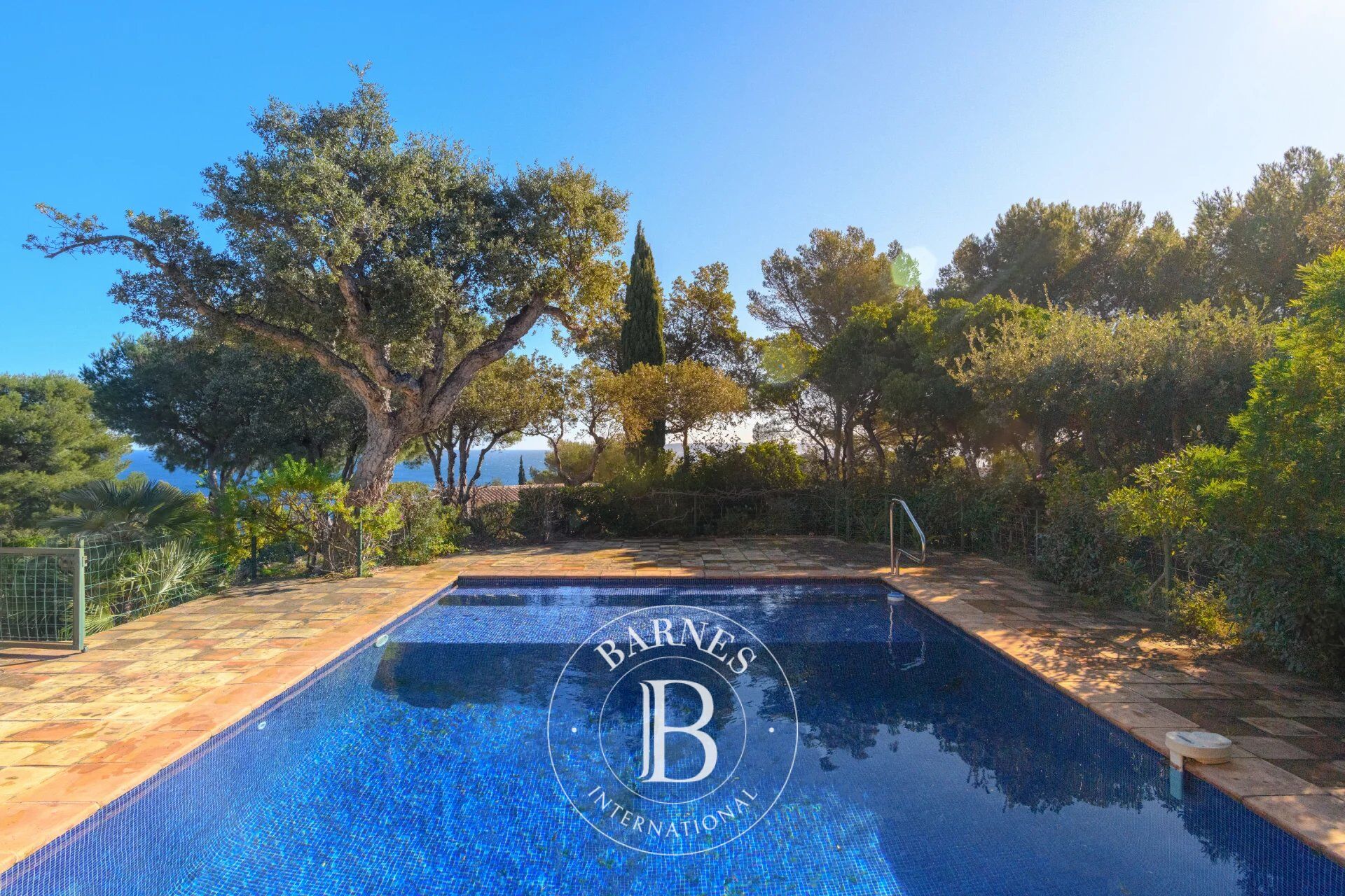 Finca Bormes-les-Mimosas - picture 2