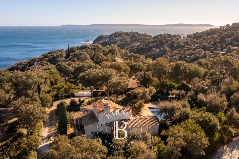 Venta Finca | Bormes-les-Mimosas - picture 3