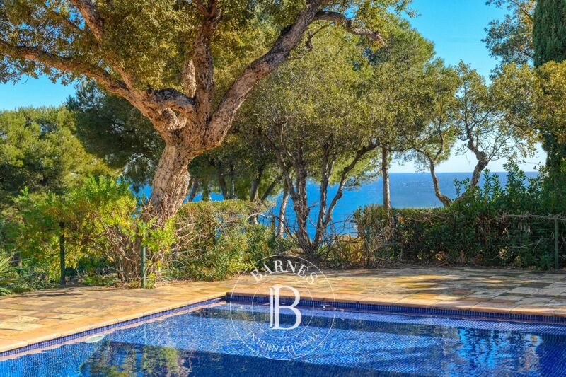 For Sale Property | Bormes-les-Mimosas - picture 2