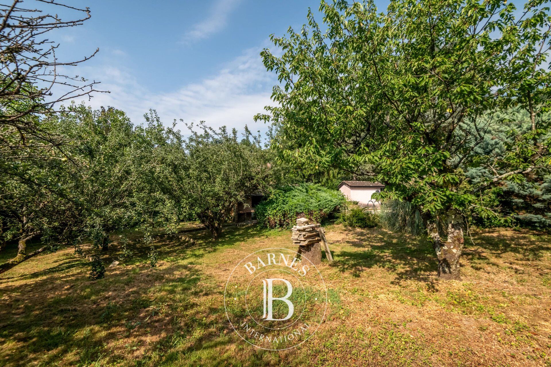 Saint-Cyr-au-Mont-d'Or - Terrain constructible de 1016 m² - picture 2