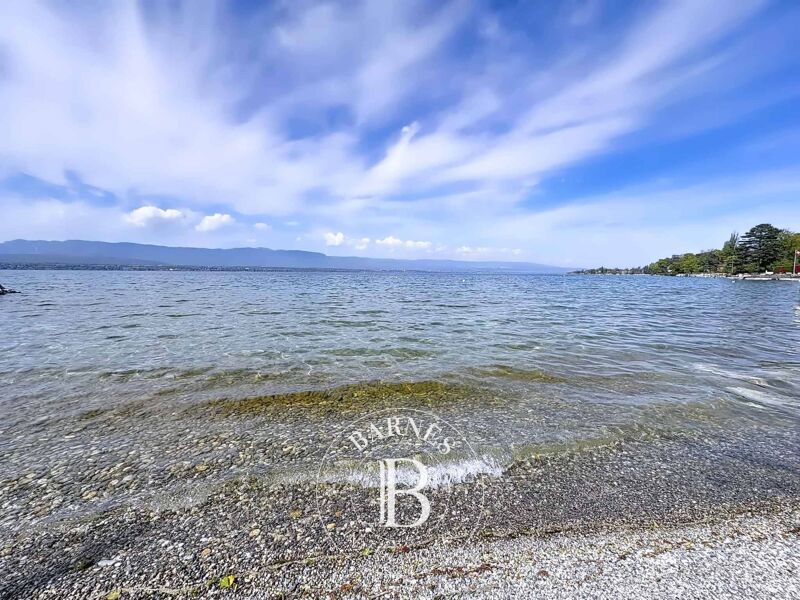 For Sale Villa | Anières - picture 3