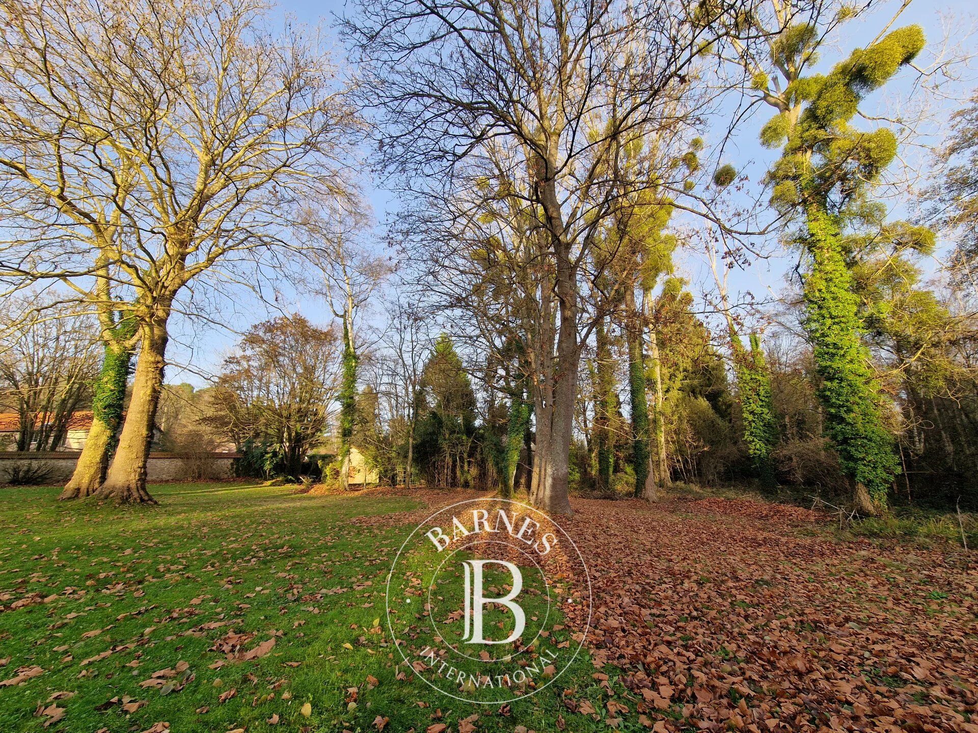 Poigny-la-Forêt - 420m2 habitables avec dépendances sur 6517m2 de terrain exempt de toute nuisance. - picture 2