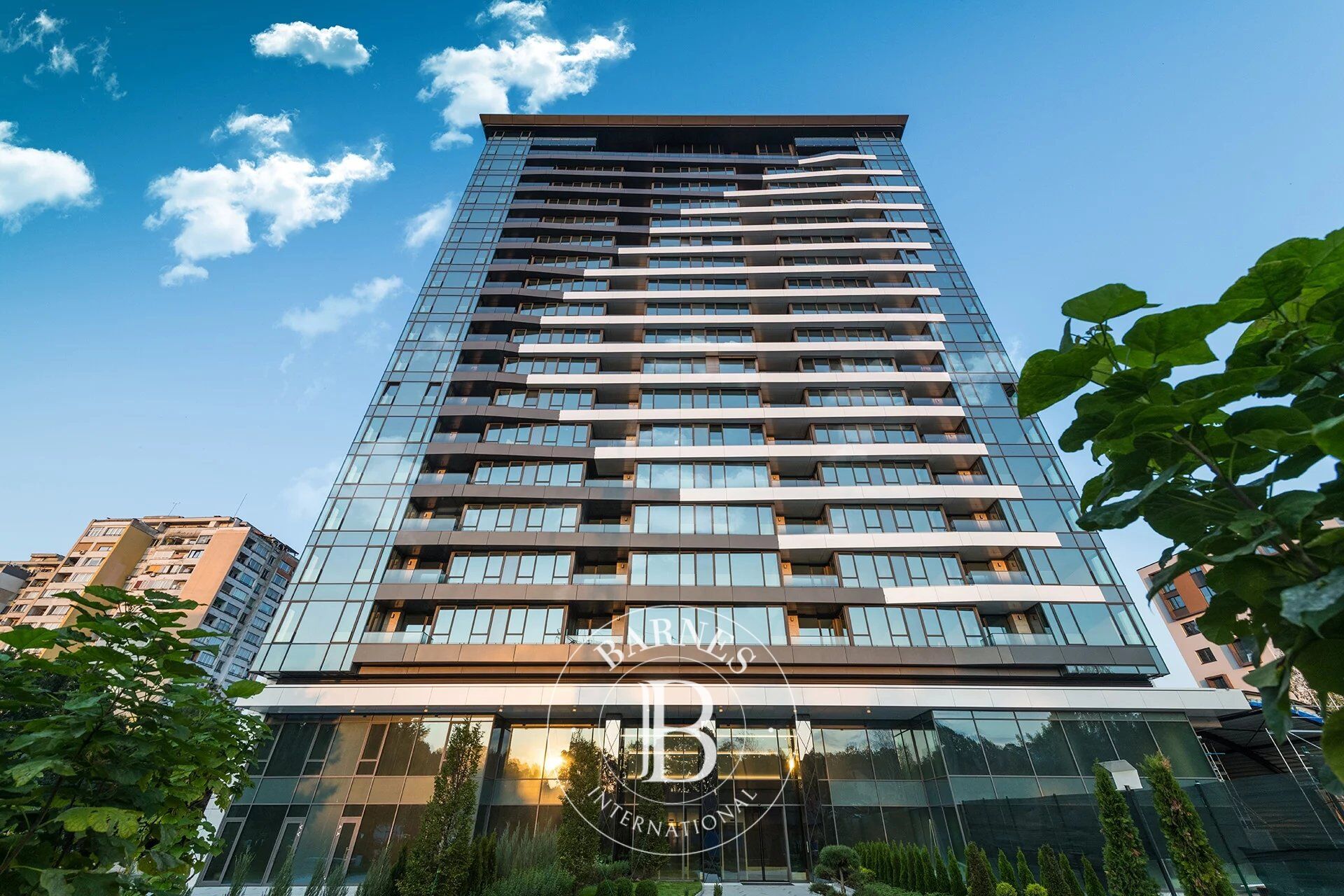 Oficina Sofia - picture 2