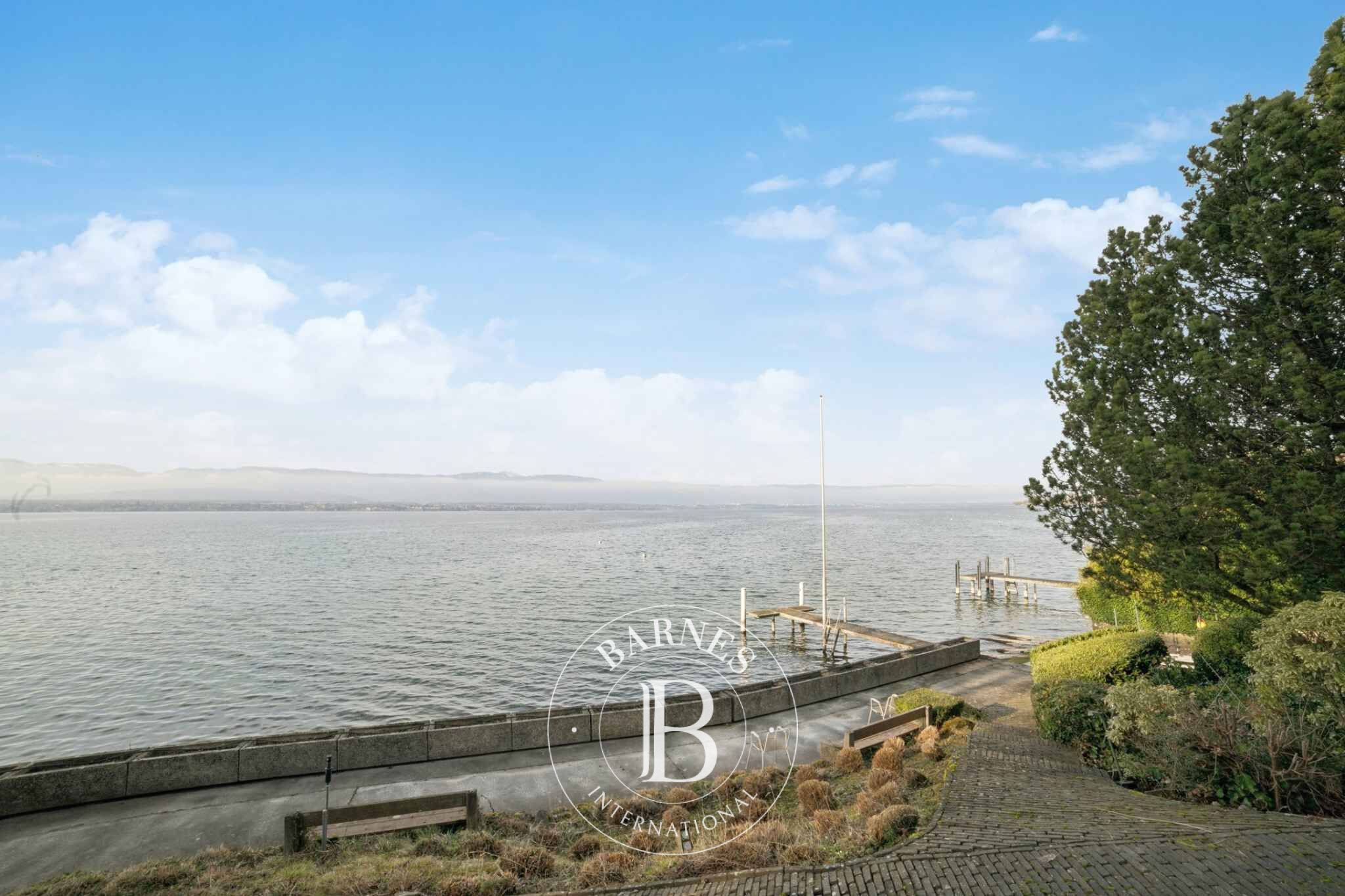 Villa Anières - picture 1