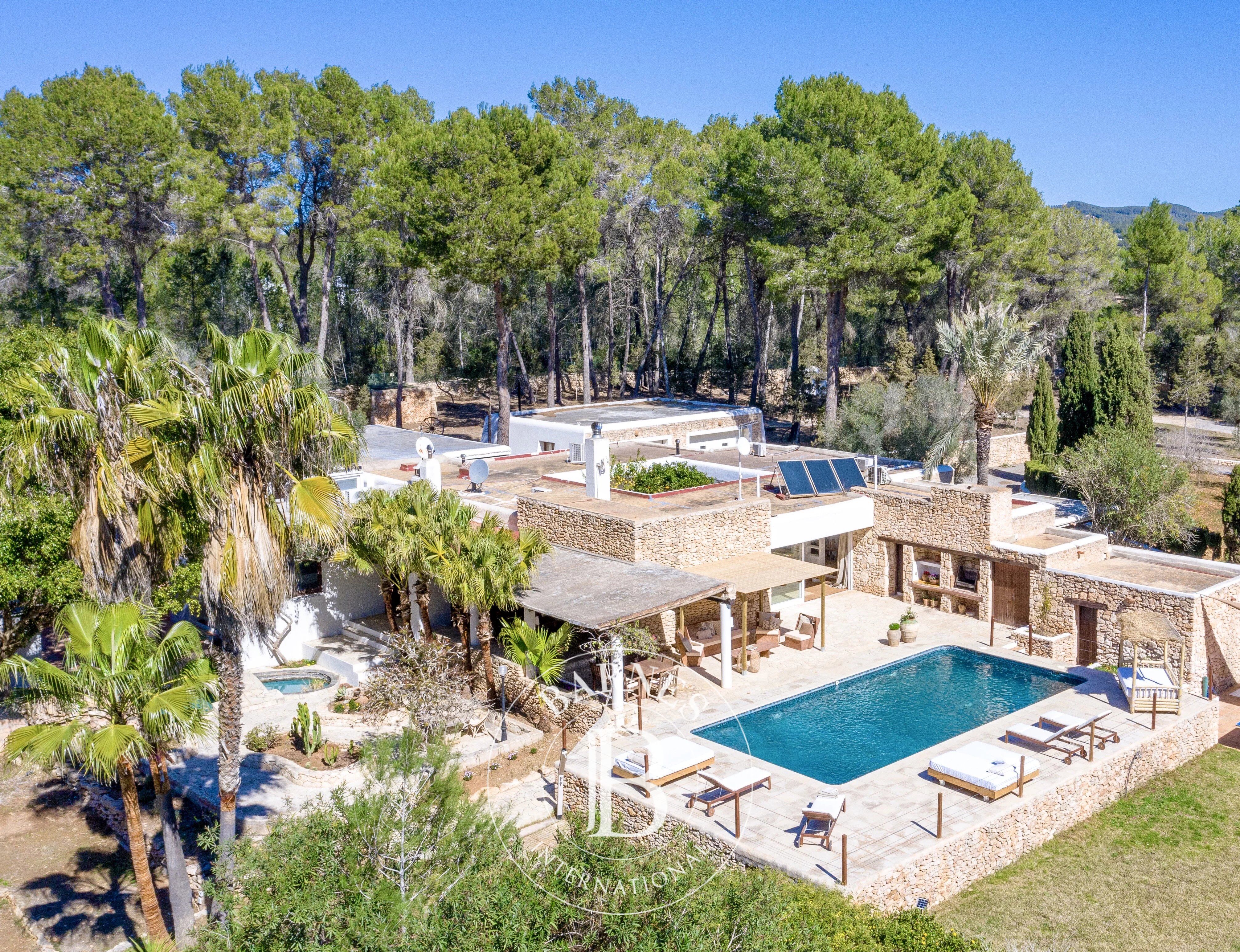 Villa Isla de Ibiza - picture 1