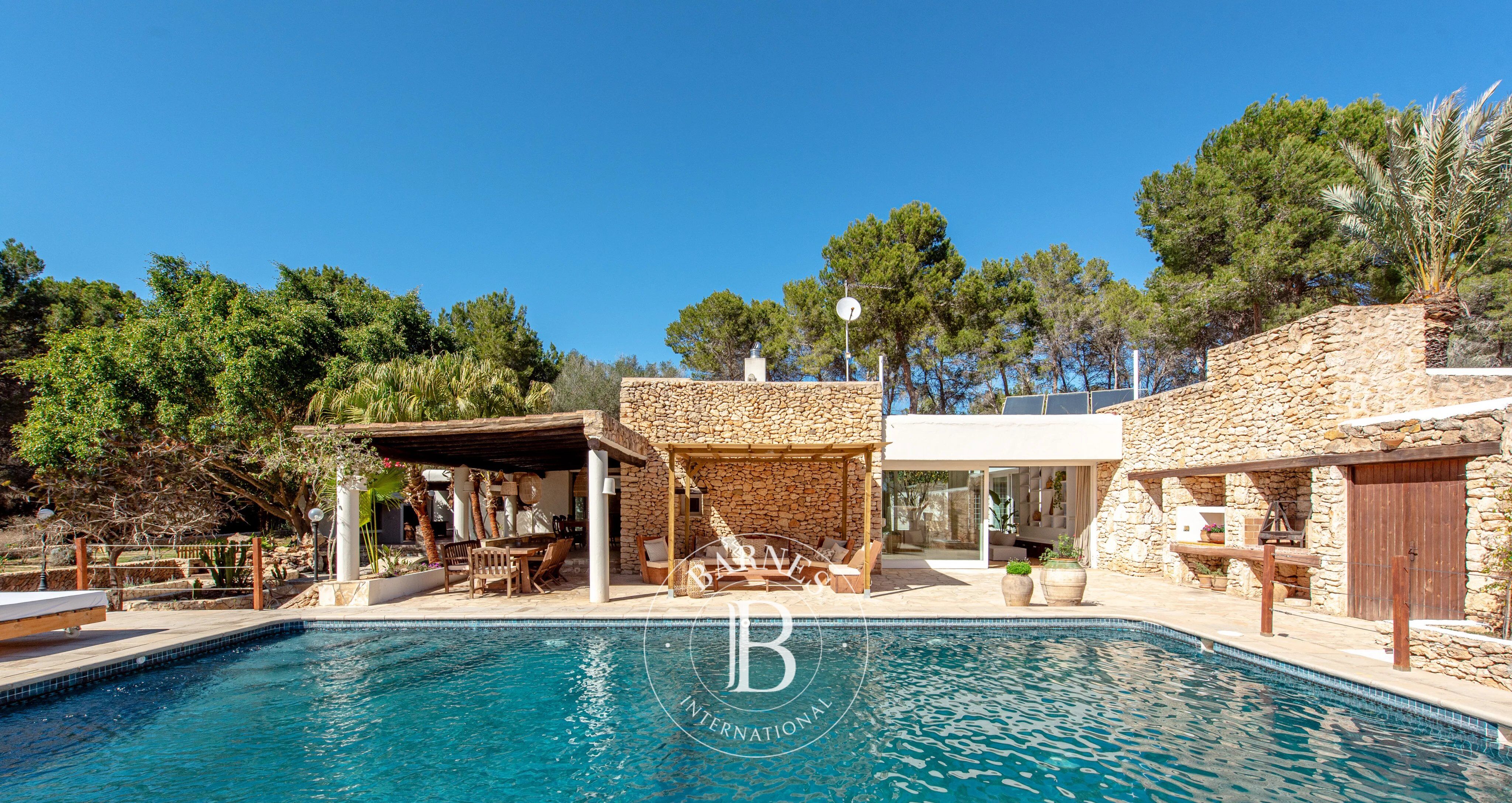 Villa Isla de Ibiza - picture 3