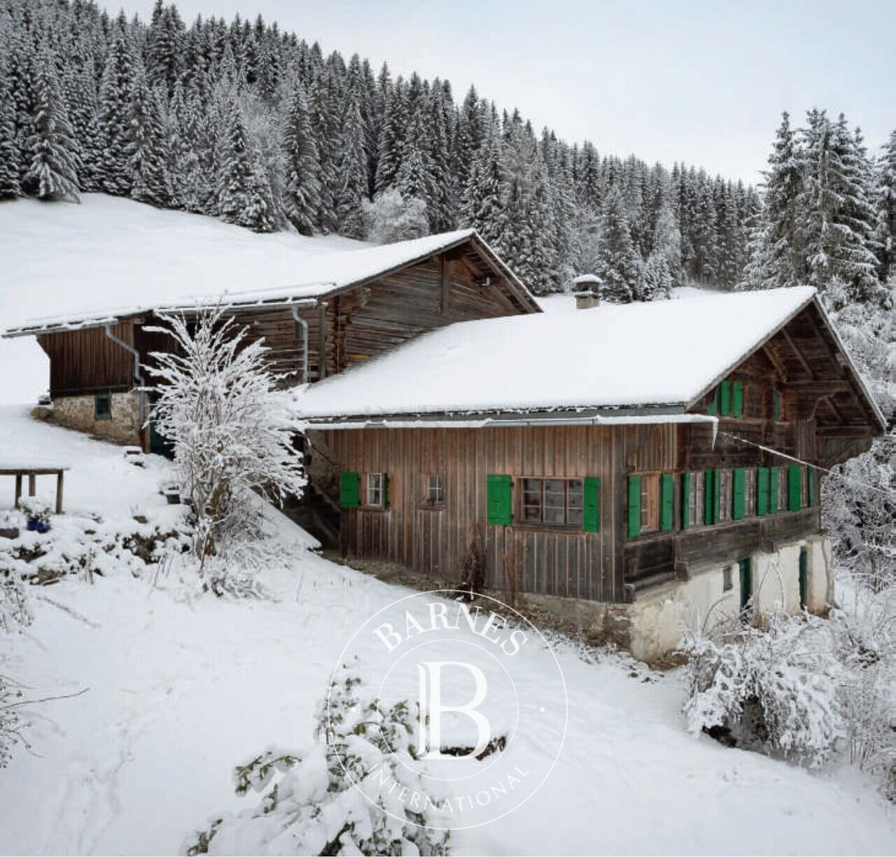 Chalet Château-d'Oex - picture 3