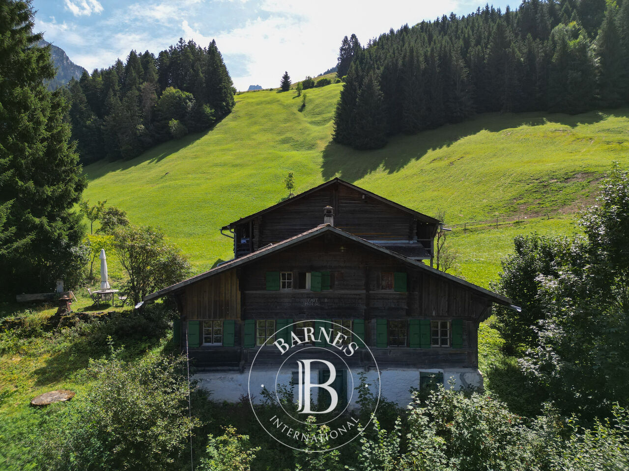 Chalet Château-d'Oex - picture 2