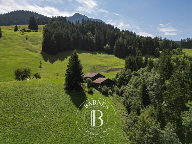 Zu verkaufen Chalet | Château-d'Oex - picture 3