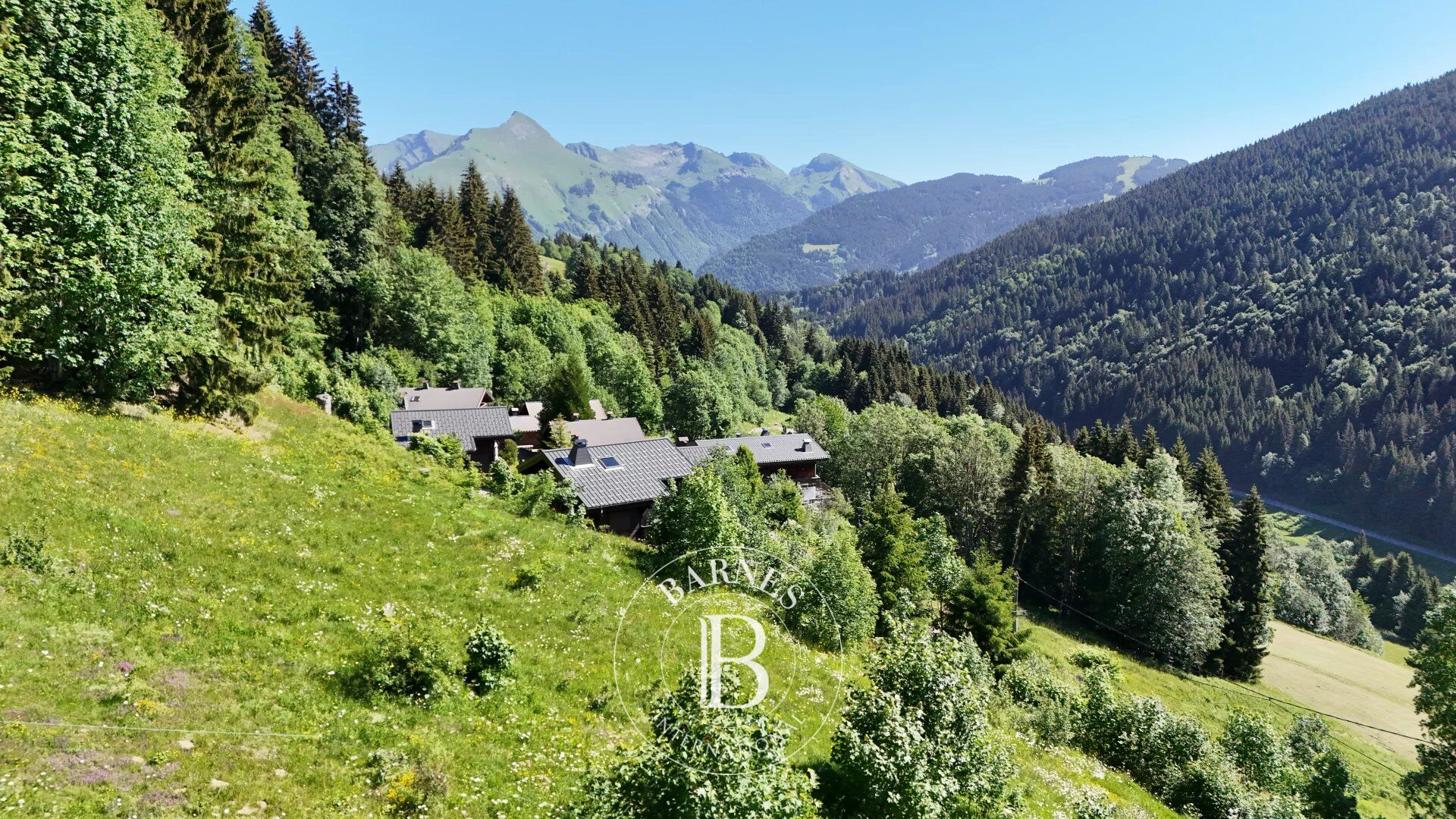 Chalet Les Gets - picture 3