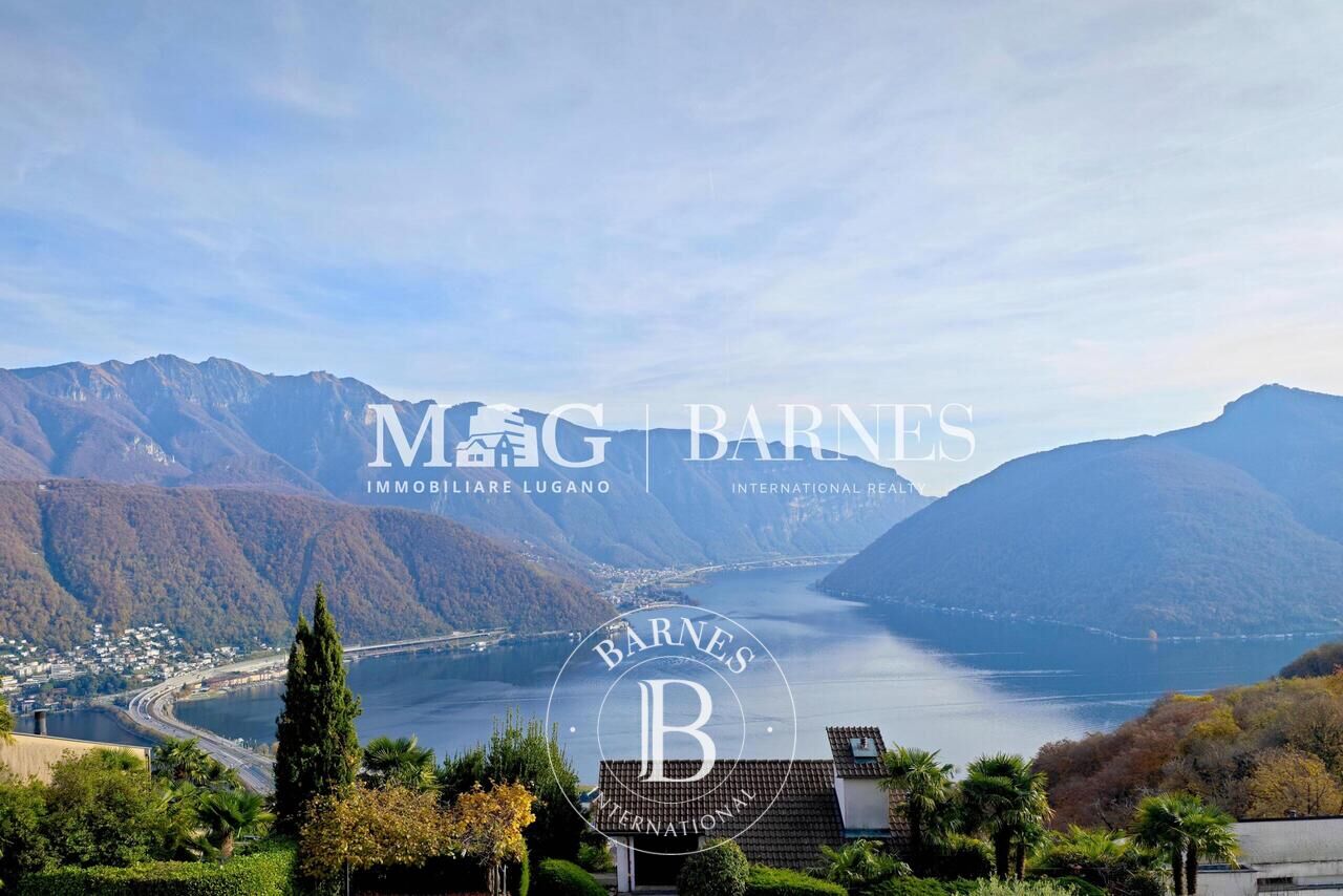 Attic Carona - picture 2