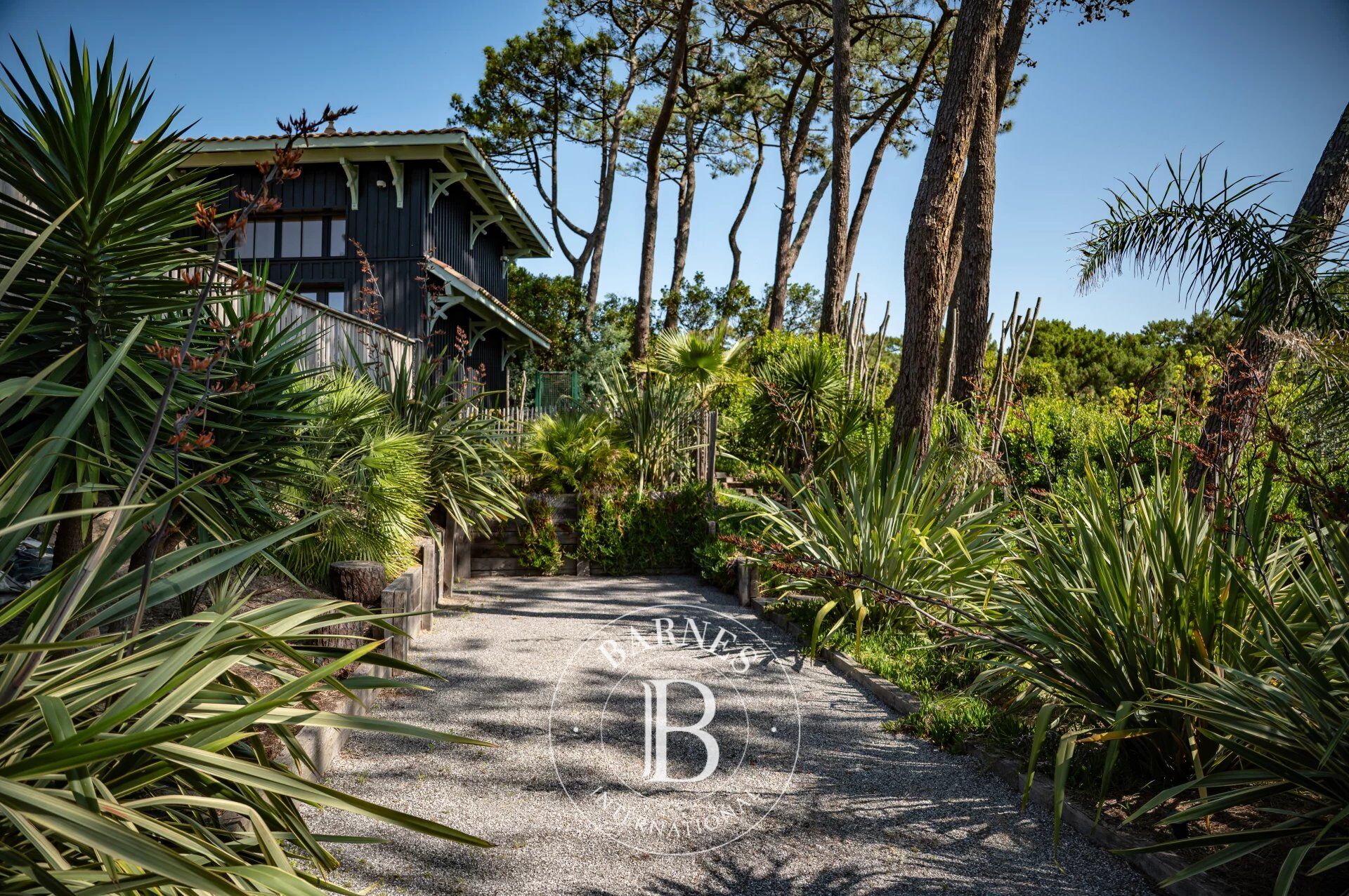 Villa Cap-Ferret - picture 3