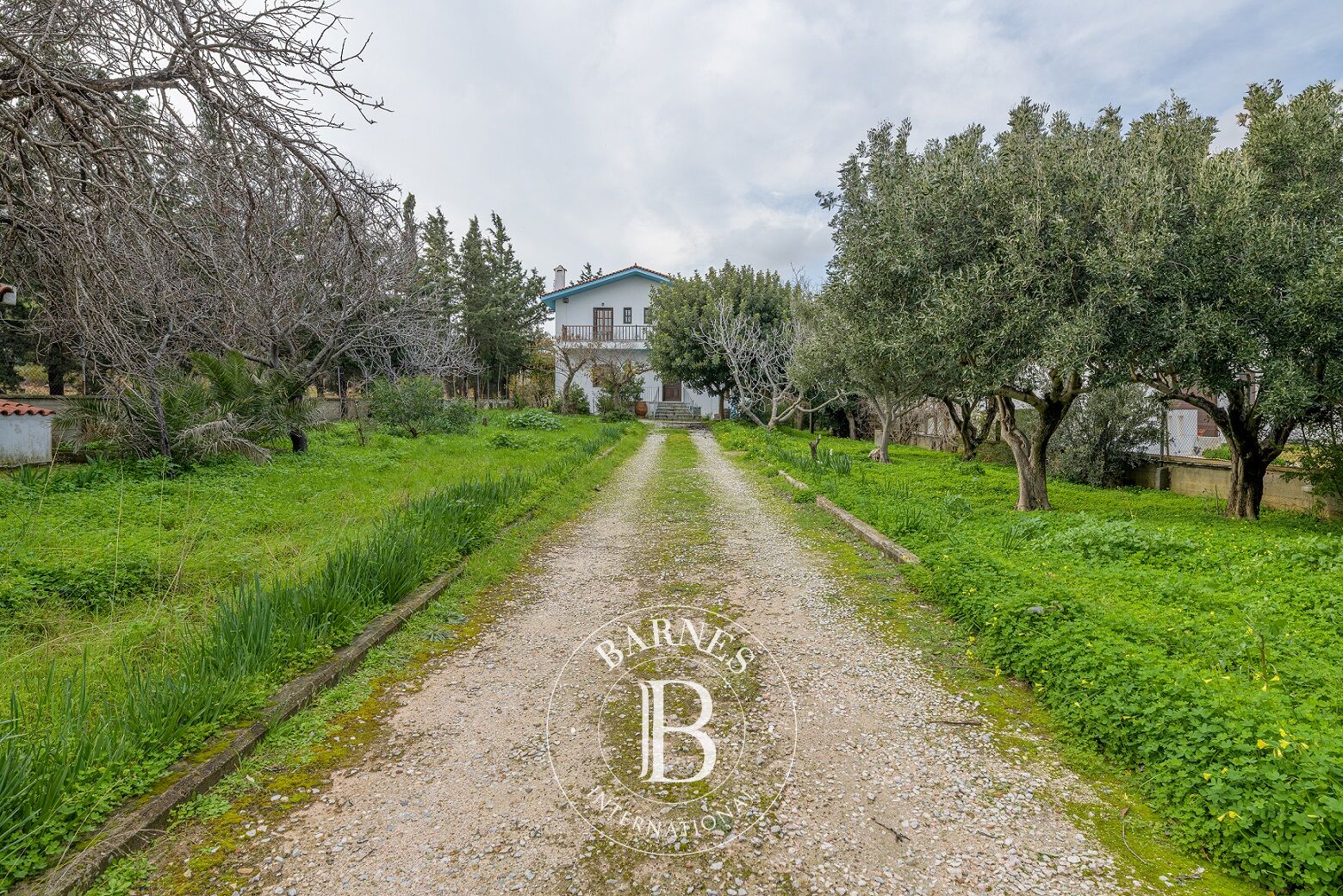 Casa Athens - picture 1