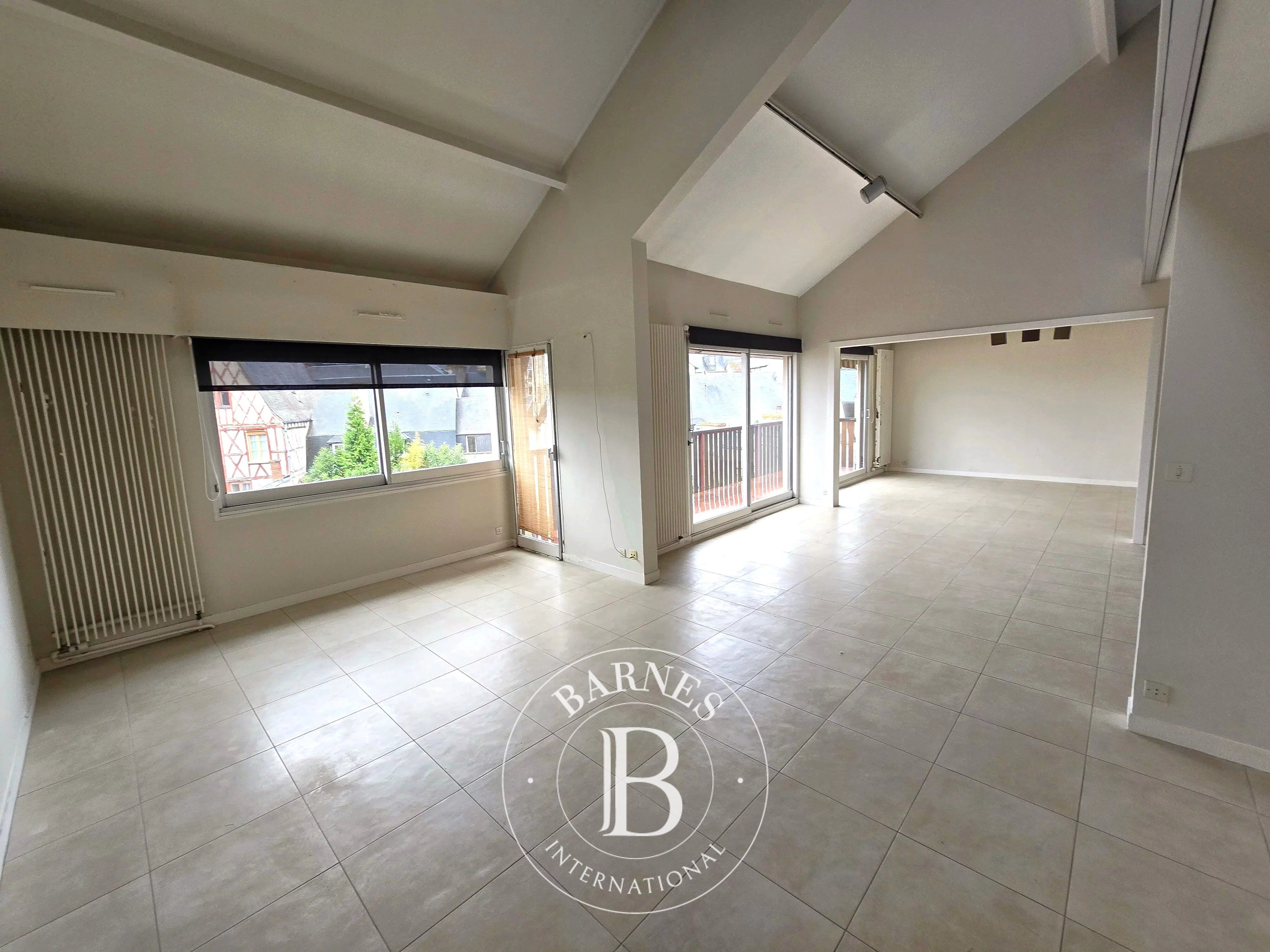 BOURGES, CENTRE-VILLE - Vaste triplex avec terrasses - picture 3