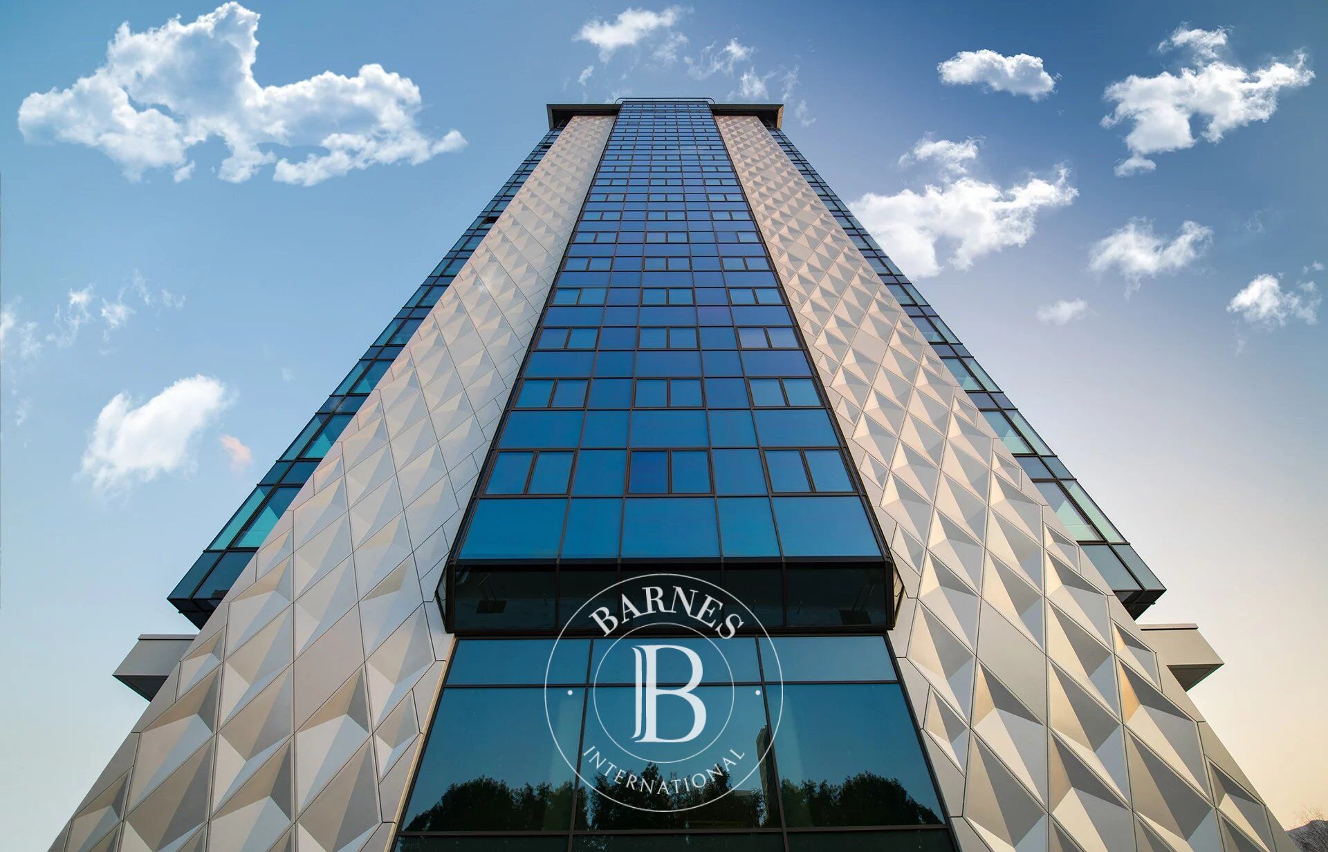 Oficina Sofia - picture 2