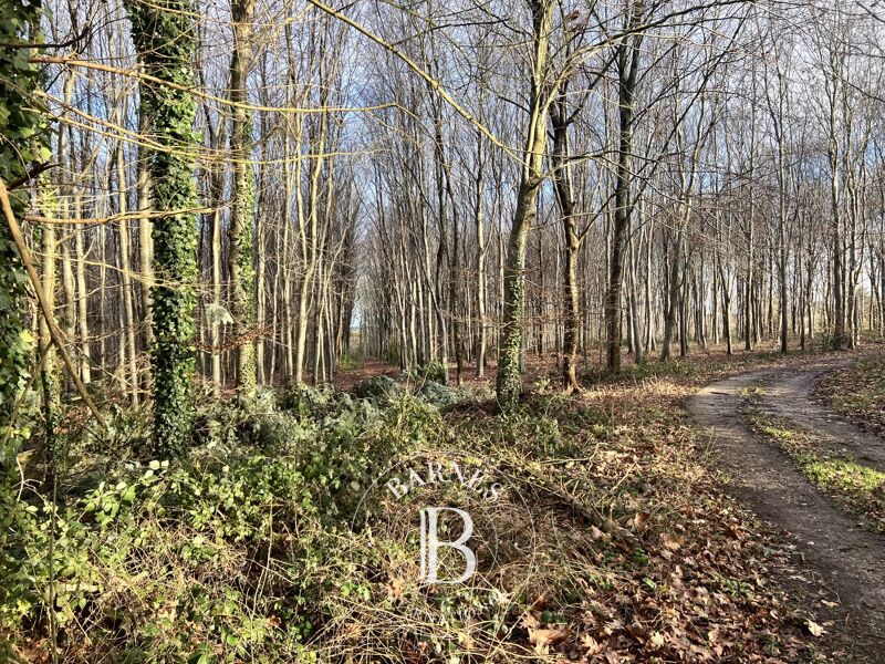 For Sale Game reserve | Rouen - picture 1