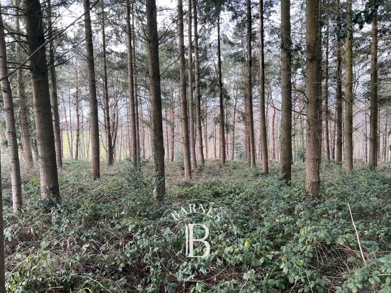 For Sale Game reserve | Rouen - picture 2