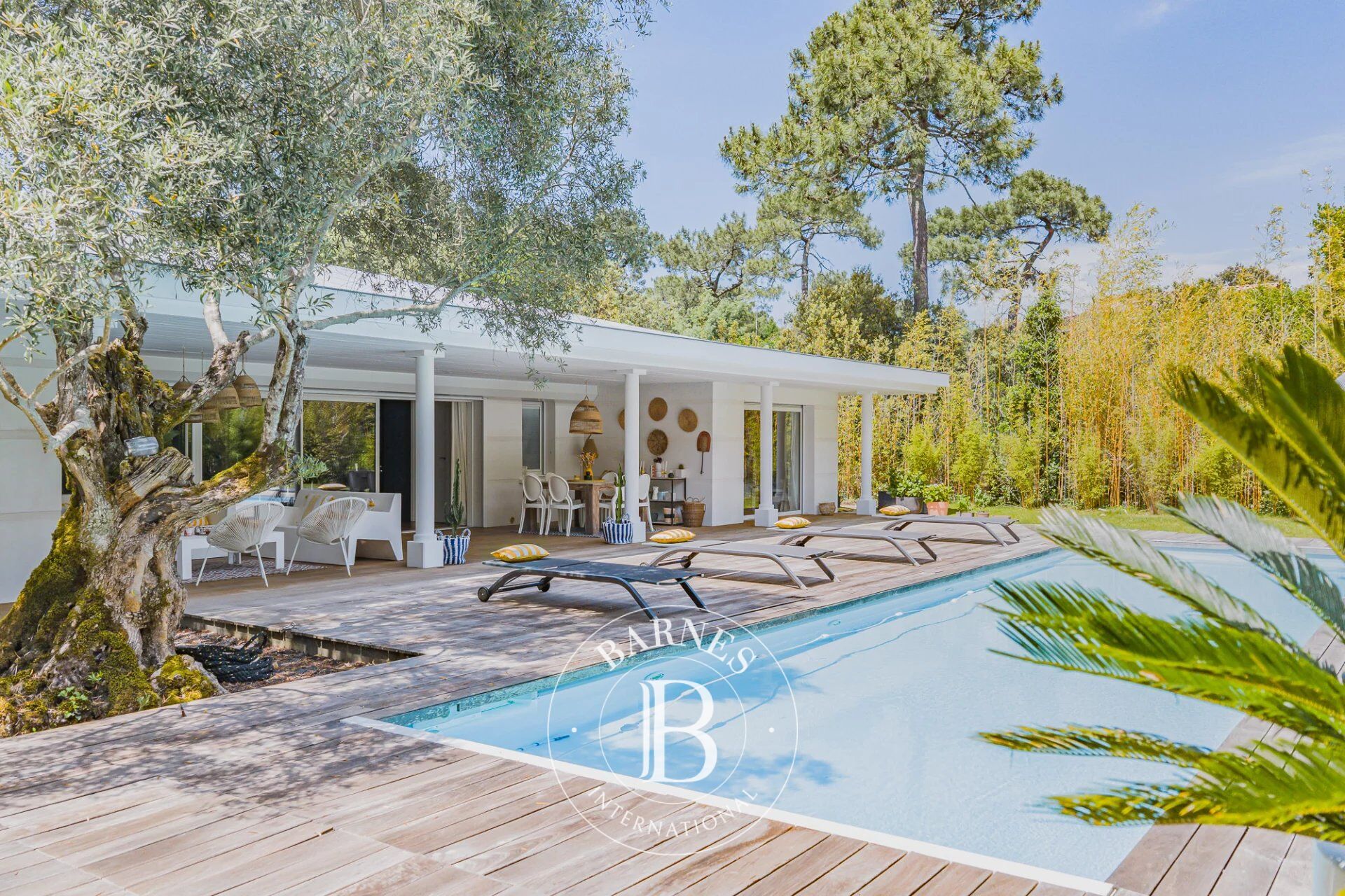 VILLA CONTEMPORAINE «L’OLIVIER» AVEC PISCINE AU CŒUR DU MOULLEAU À ARCACHON – CAPACITÉ 8 PERSONNES - picture 2