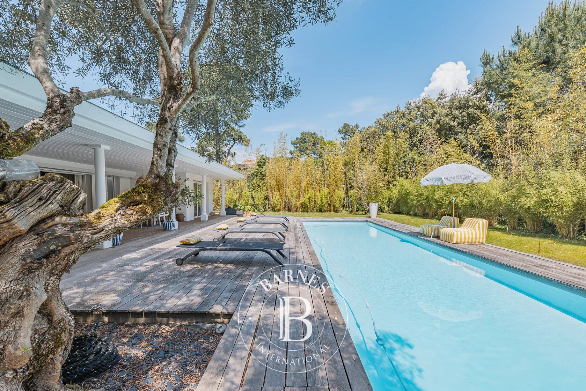 VILLA CONTEMPORAINE «L’OLIVIER» AVEC PISCINE AU CŒUR DU MOULLEAU À ARCACHON – CAPACITÉ 8 PERSONNES - picture 1