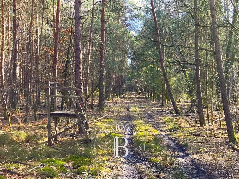 À vendre Propriété | Lamotte-Beuvron - picture 3