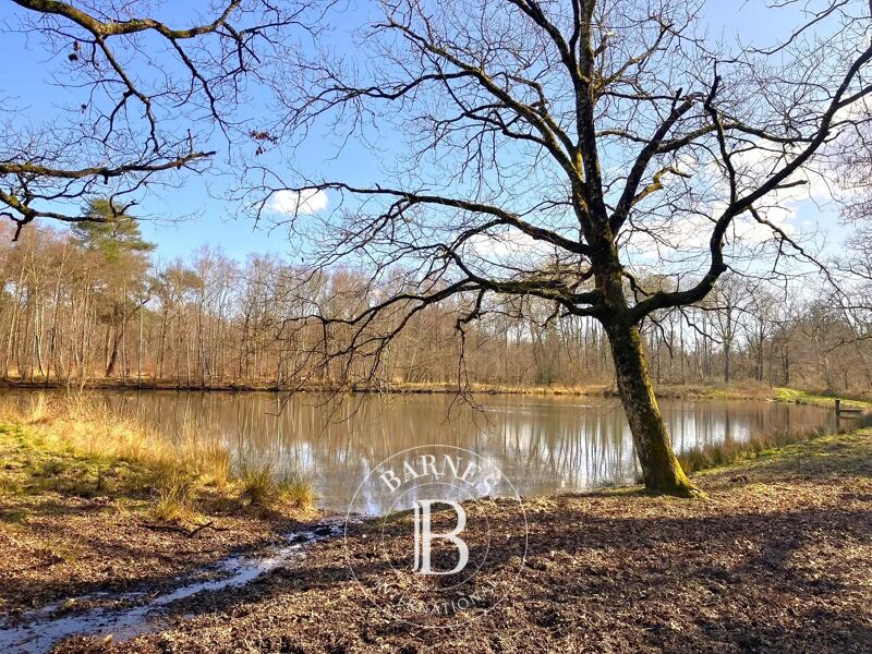 À vendre Propriété | Lamotte-Beuvron - picture 2