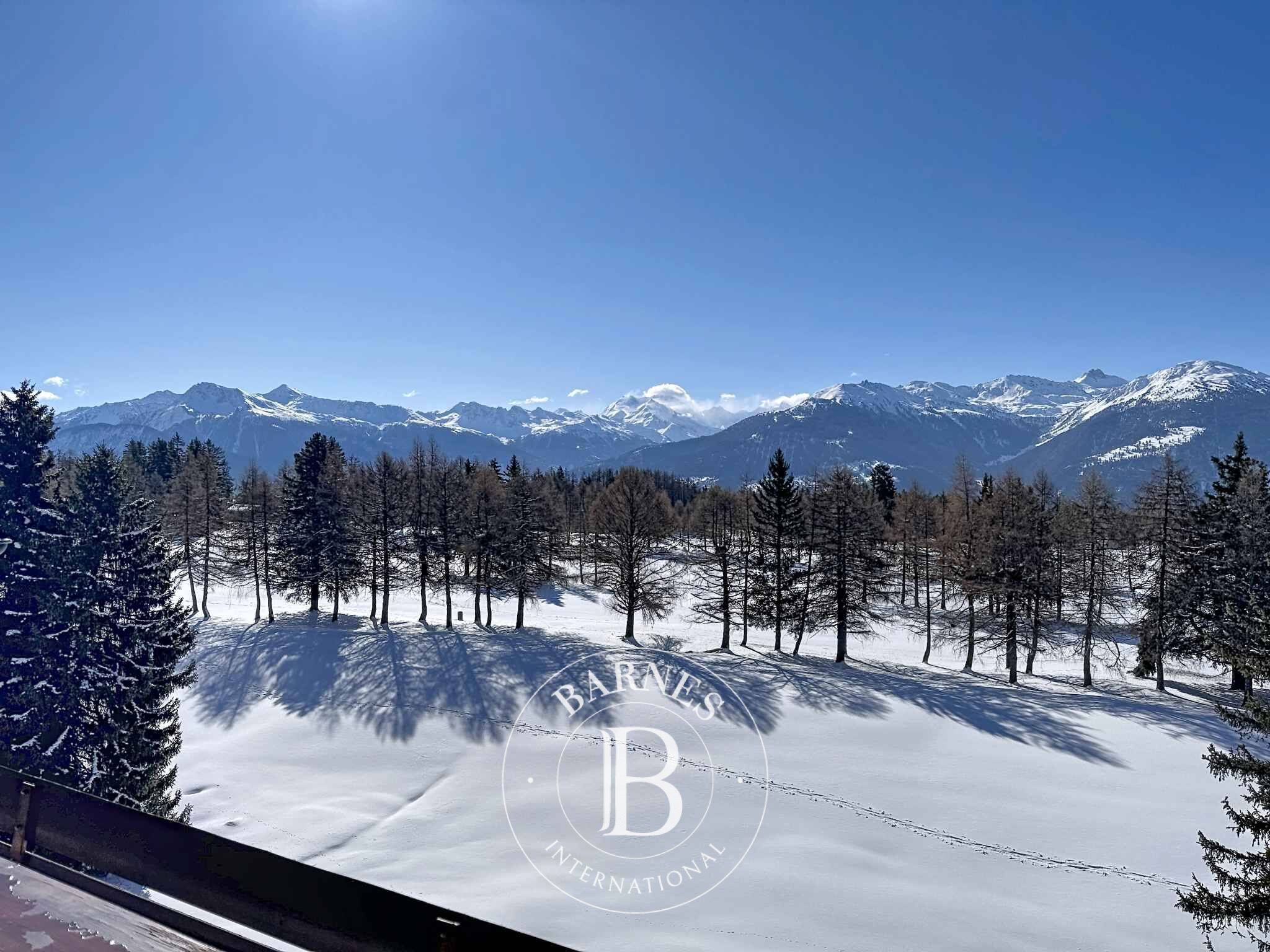 6.5-ROOM PENTHOUSE APARTMENT FACING THE GOLF COURSE WITH STUNNING VIEWS + STUDIO - picture 2