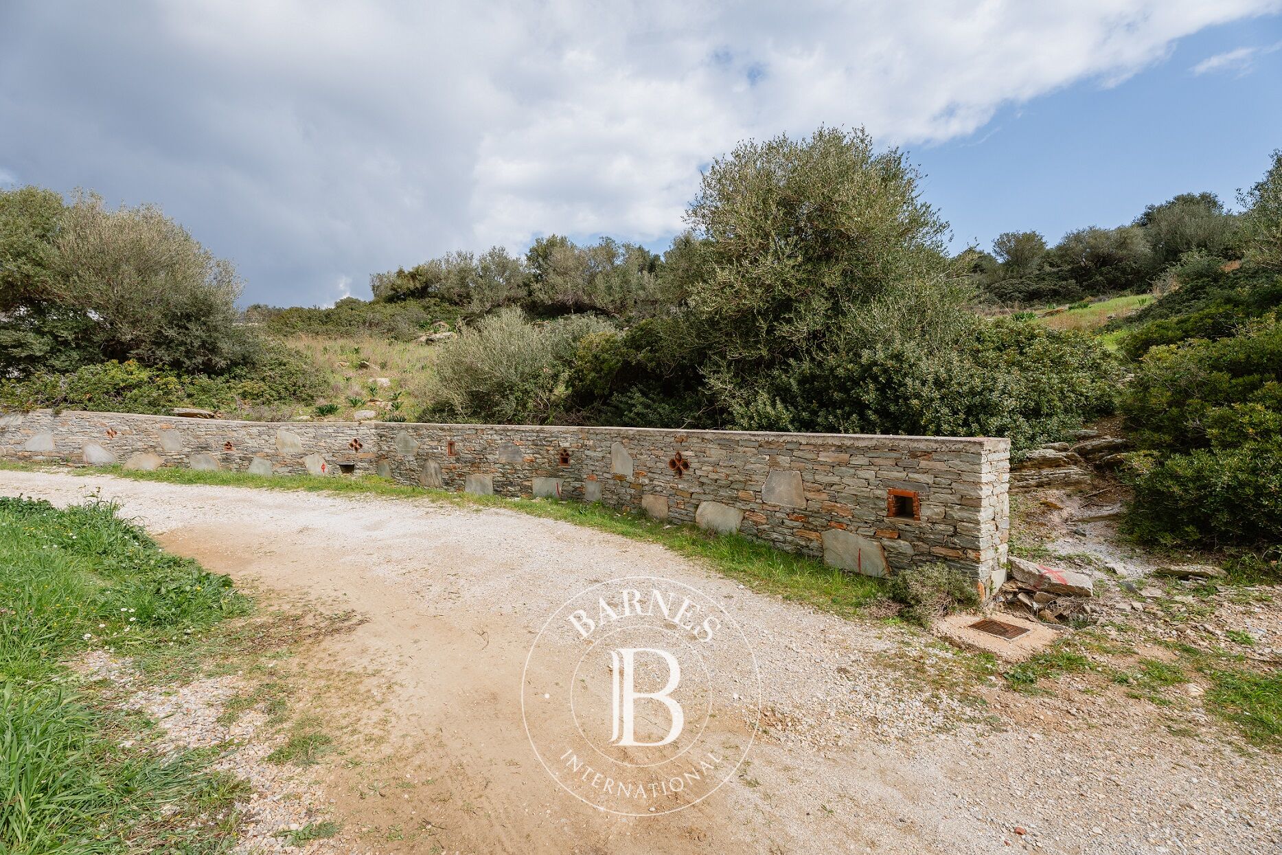 Plot with Panoramic Sea View - Evia - picture 3