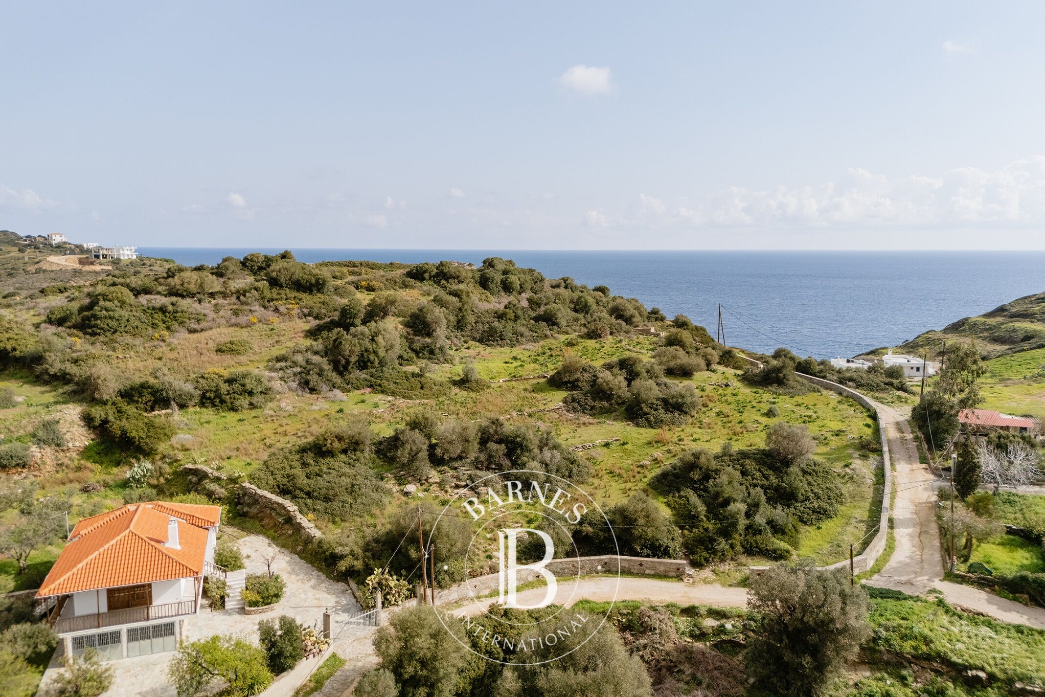 Plot with Panoramic Sea View - Evia - picture 2