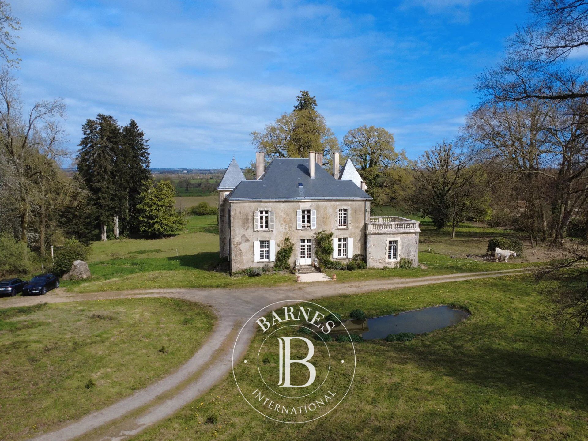 Manor house Pouzauges - picture 2