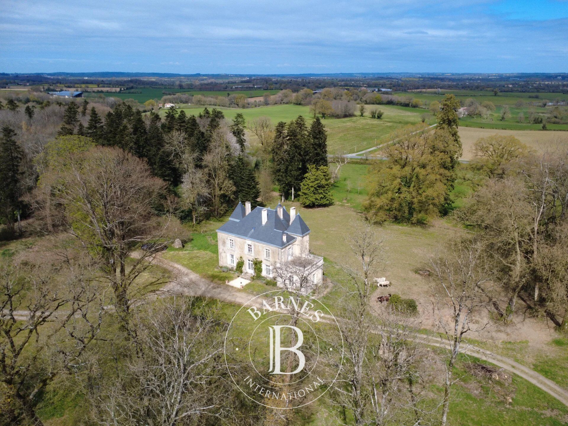 Casa solariega Pouzauges - picture 1