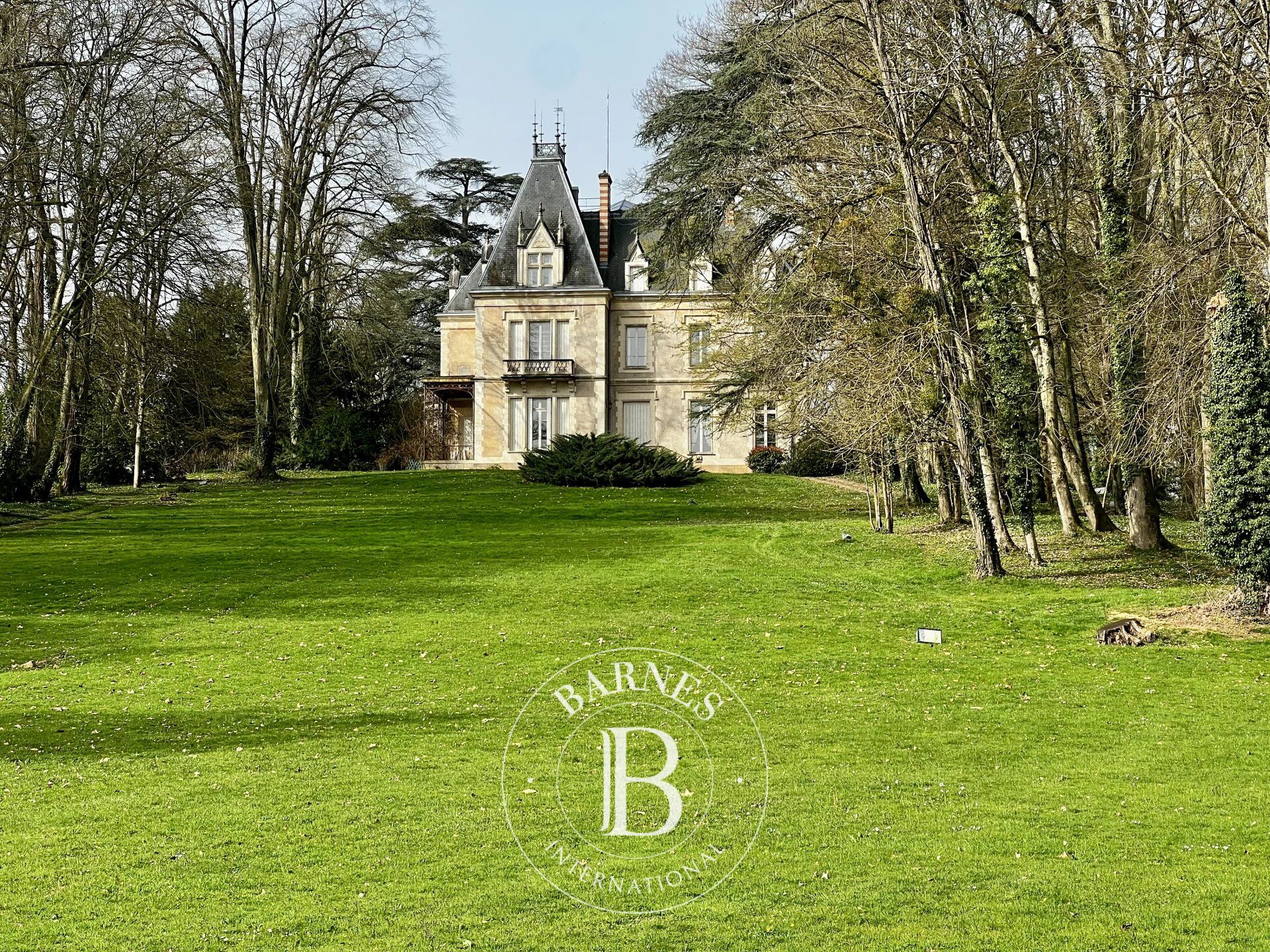 Burgundy - Tournus - Château - Pond - Outbuildings - Tennis court - picture 1