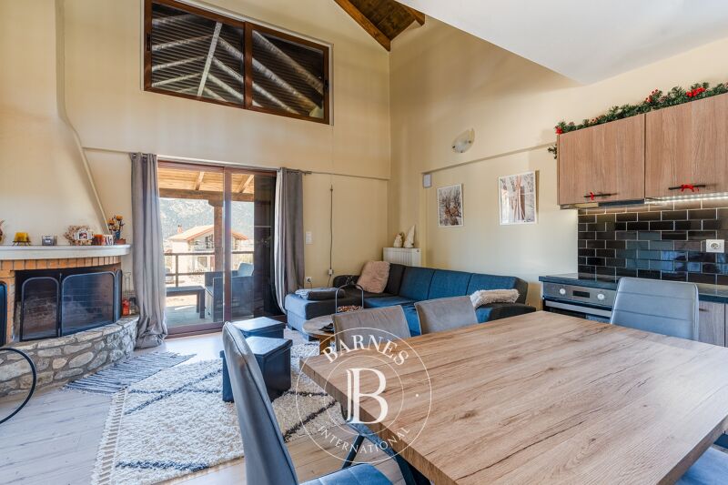 For Sale House | Parnassos - picture 2