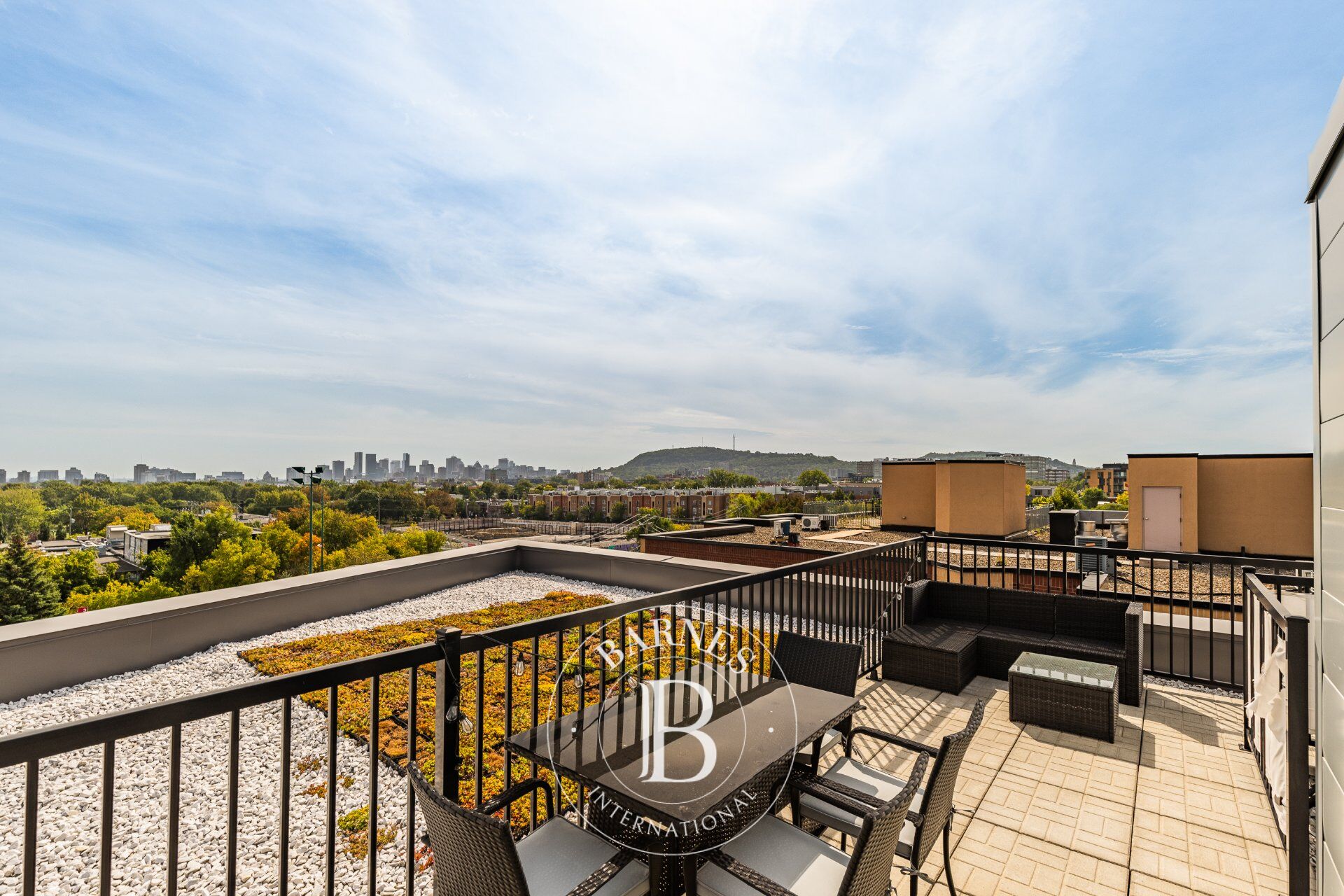 5620 Rue De La Roche #411  Montréal (Rosemont/La Petite-Patrie) (Montréal) - picture 2