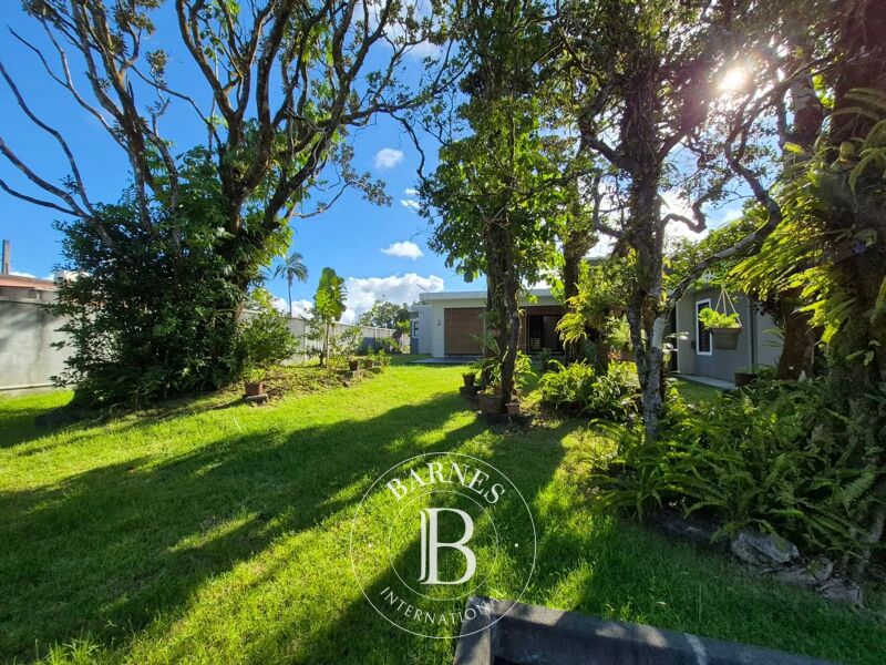 For Rent Office | Curepipe - picture 2