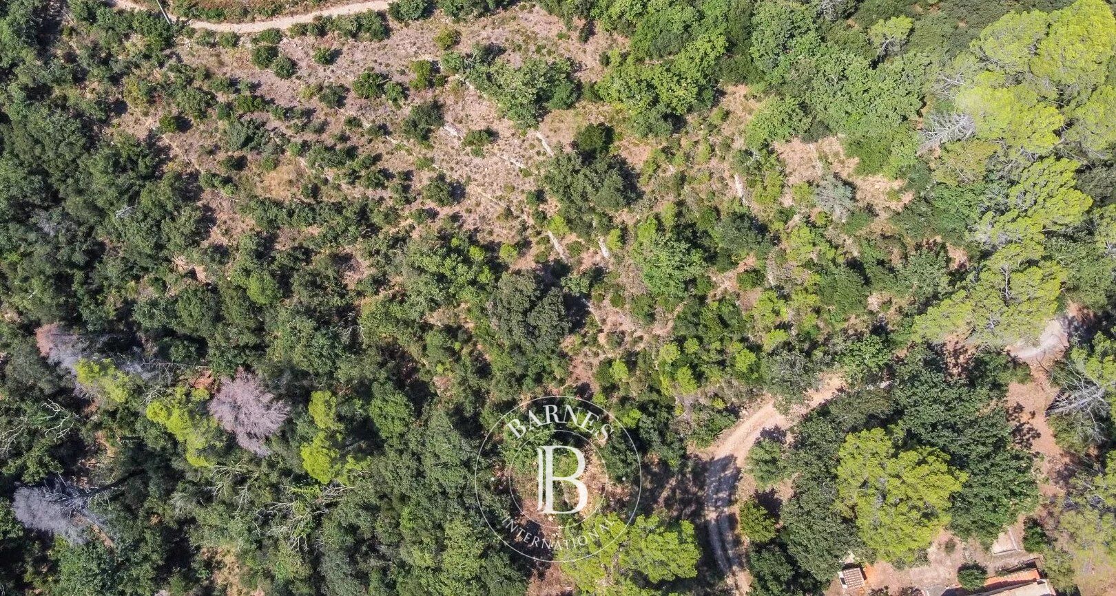 Terreno edificabile Bagnols-en-Forêt - picture 3