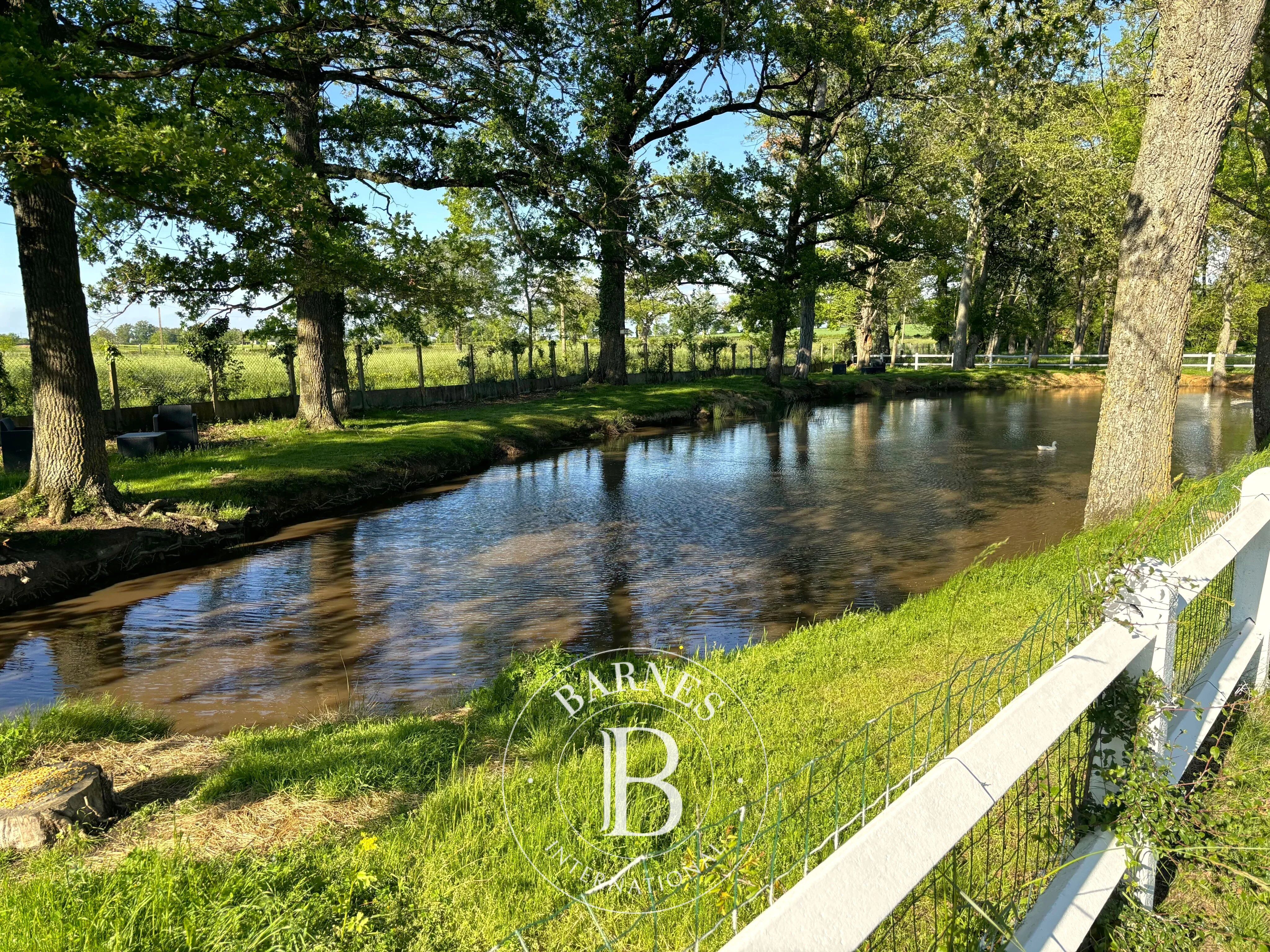 ALLIER - 19th Century Castle on 16 hectares - picture 2