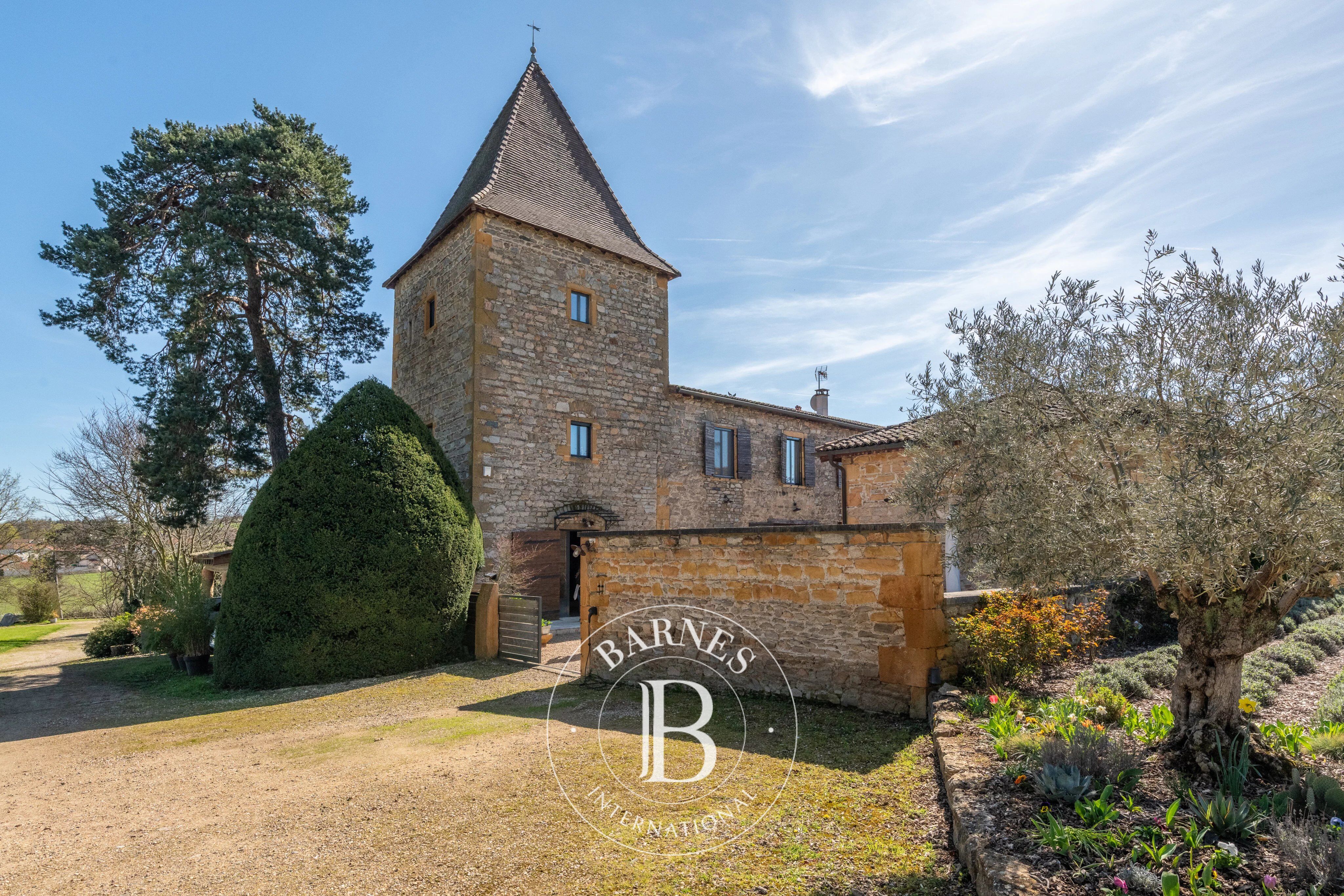 Lentilly – Château de Cruzols House – 4 Bedrooms – Duplex Outbuilding – 5-Hectare Park – Private Swimming Pool - picture 1