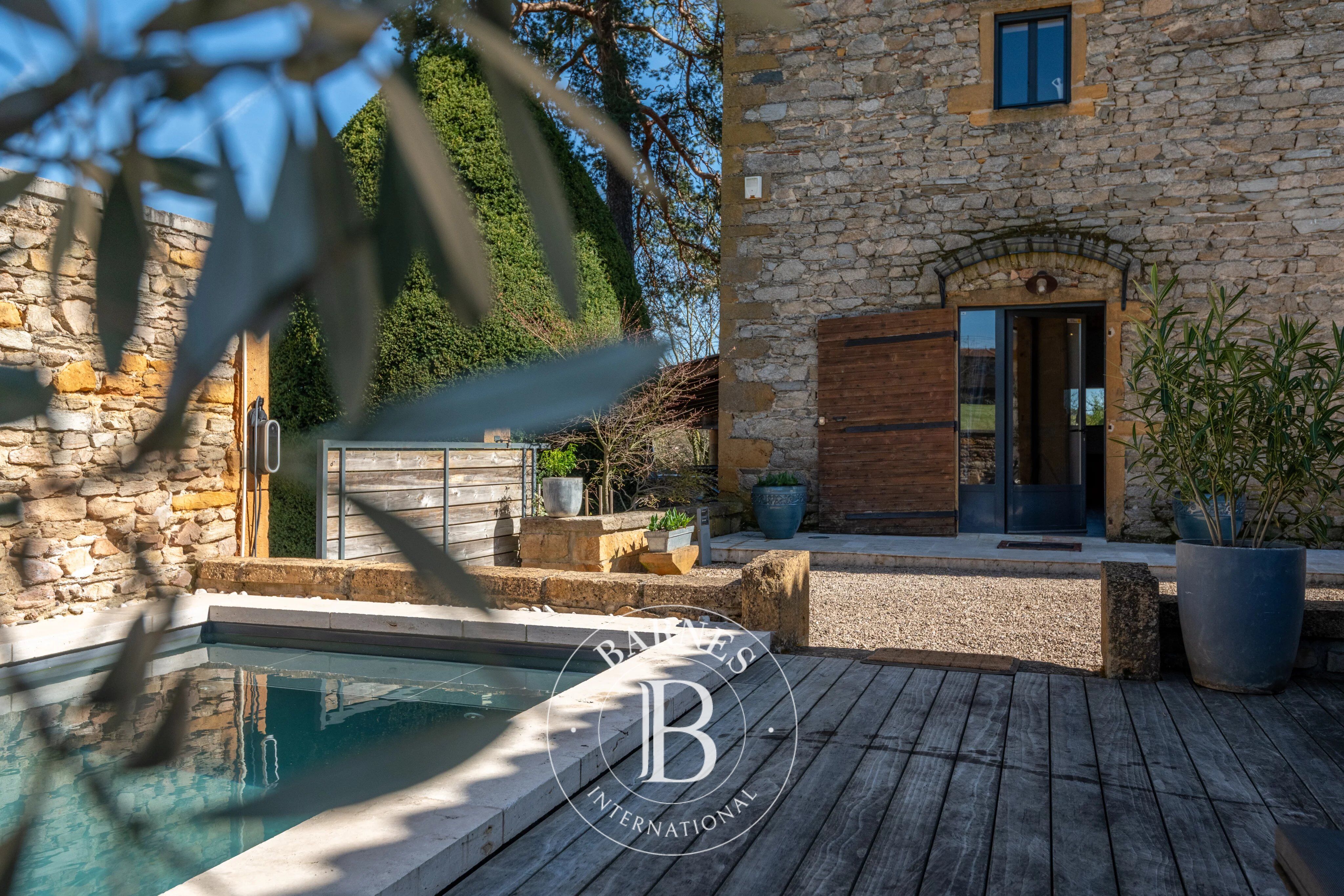 Lentilly – Château de Cruzols House – 4 Bedrooms – Duplex Outbuilding – 5-Hectare Park – Private Swimming Pool - picture 2