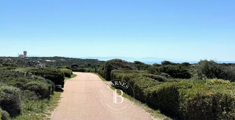 Vendita Bed and breakfast | Bonifacio - picture 2