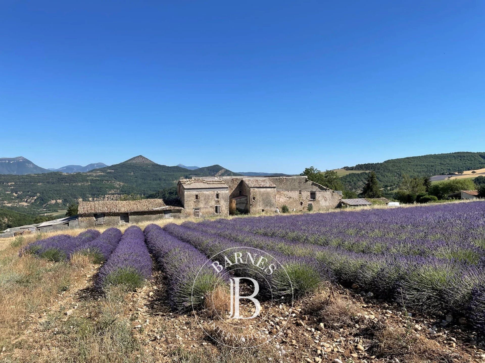 ALPES DE HAUTE PROVENCE - THOARD - PROPRIETE DU 18EME SIECLE 1 500M² - PARC 15 HECTARES - VUE PANORAMIQUE - picture 3